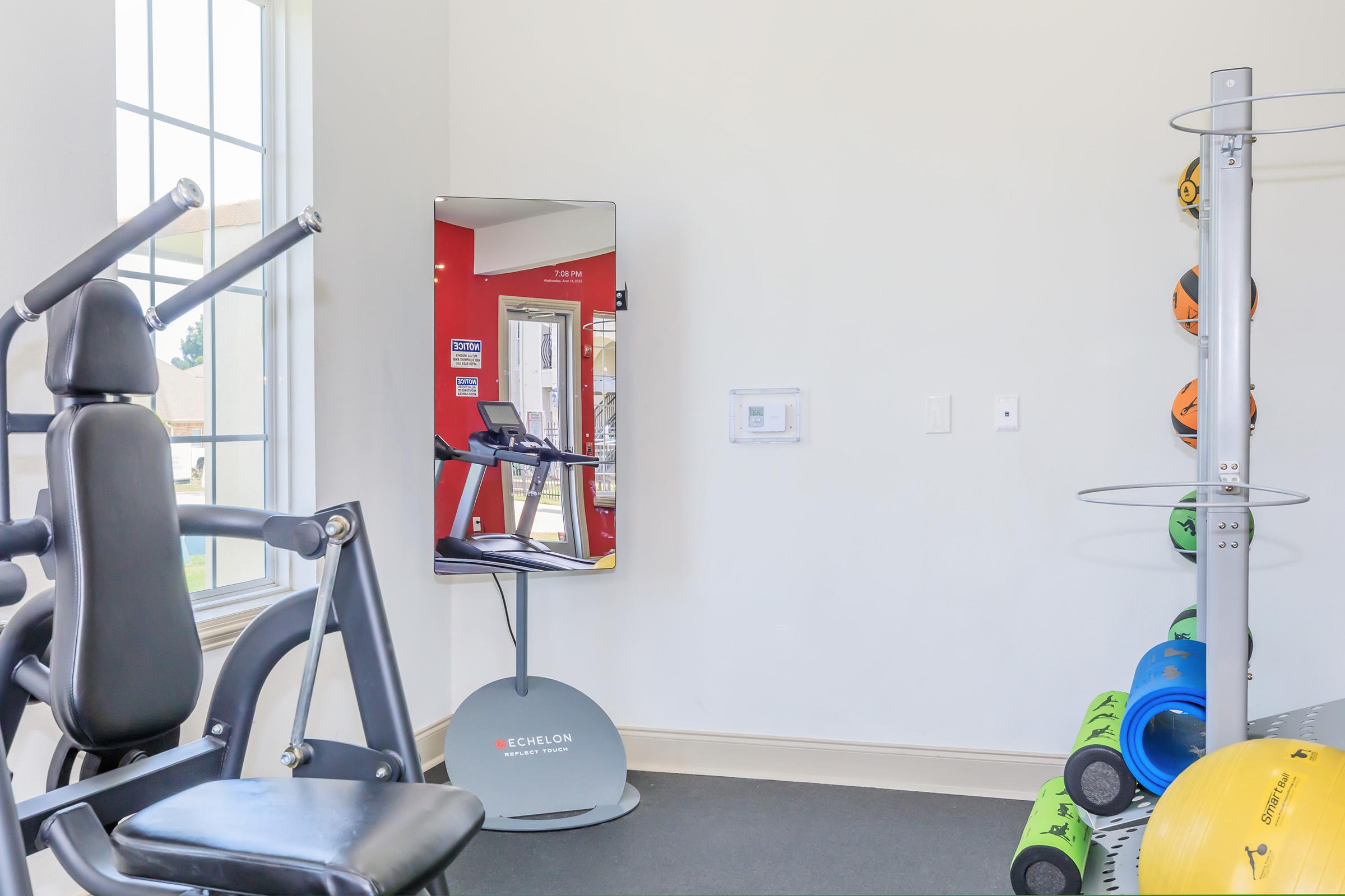 A well-lit gym space featuring exercise equipment, including a multi-station machine and a mirrored display for workouts. The wall is painted red, adding a pop of color, while various colored exercise balls and weights are neatly arranged in the corner.