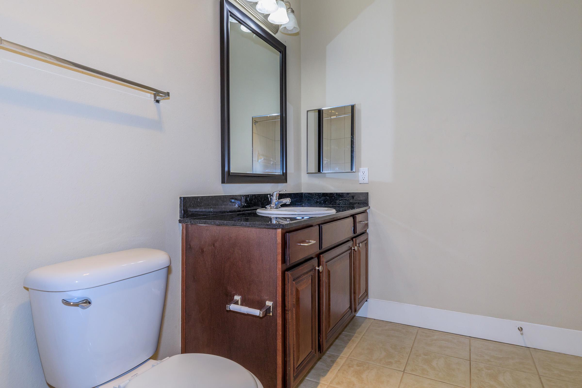 A clean, modern bathroom featuring a white toilet, a dark wood vanity with a black countertop, and a large mirror above the sink. The walls are painted a light color, and the floor is covered in neutral tiles. A towel bar is mounted on the wall to the left.