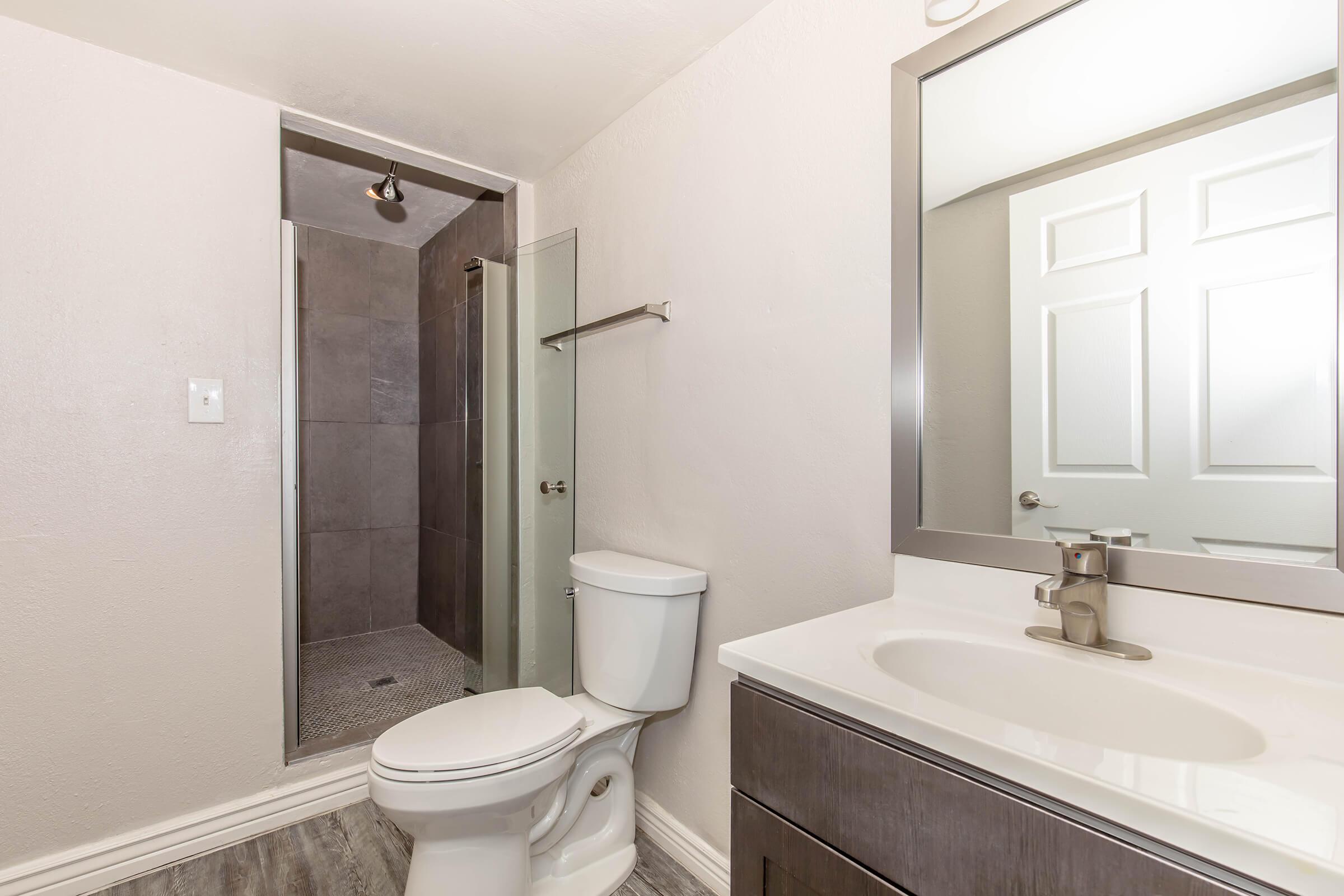A modern bathroom featuring a shower area with a glass door, a white toilet, and a stylish vanity with a sink and mirror. The walls are painted in a light color, and the flooring has a wood-like finish. The space appears clean and well-lit.