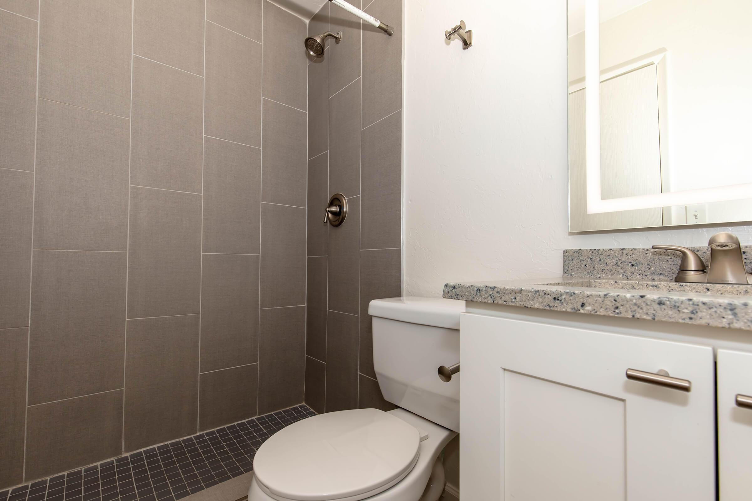 A modern bathroom featuring a walk-in shower with gray tiled walls, a white toilet, and a sink with a granite countertop. A large mirror hangs above the sink, and there's a towel rack on the wall. The overall design is clean and minimalist.