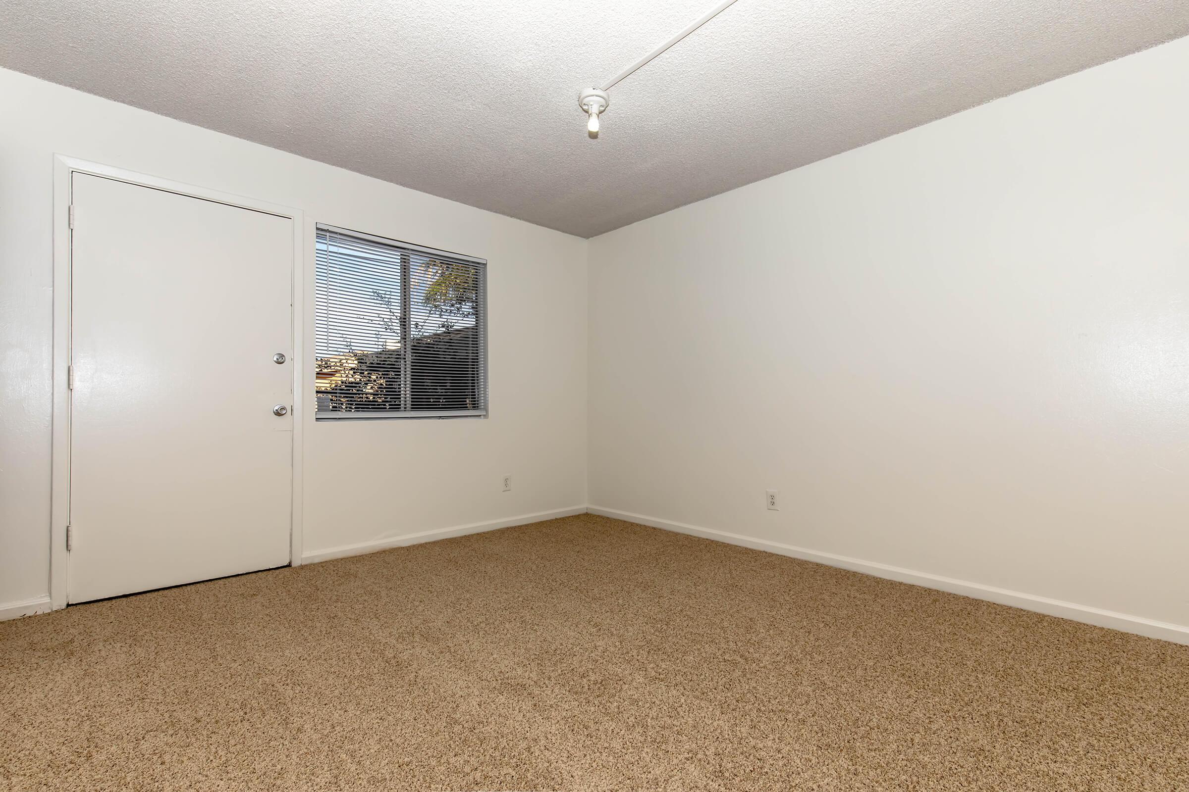 Empty room with beige carpet flooring, white walls, and a single window with blinds. There's a closed door on one wall and a light fixture on the ceiling. The overall appearance is simple and clean, making it suitable for various uses like an office or bedroom.