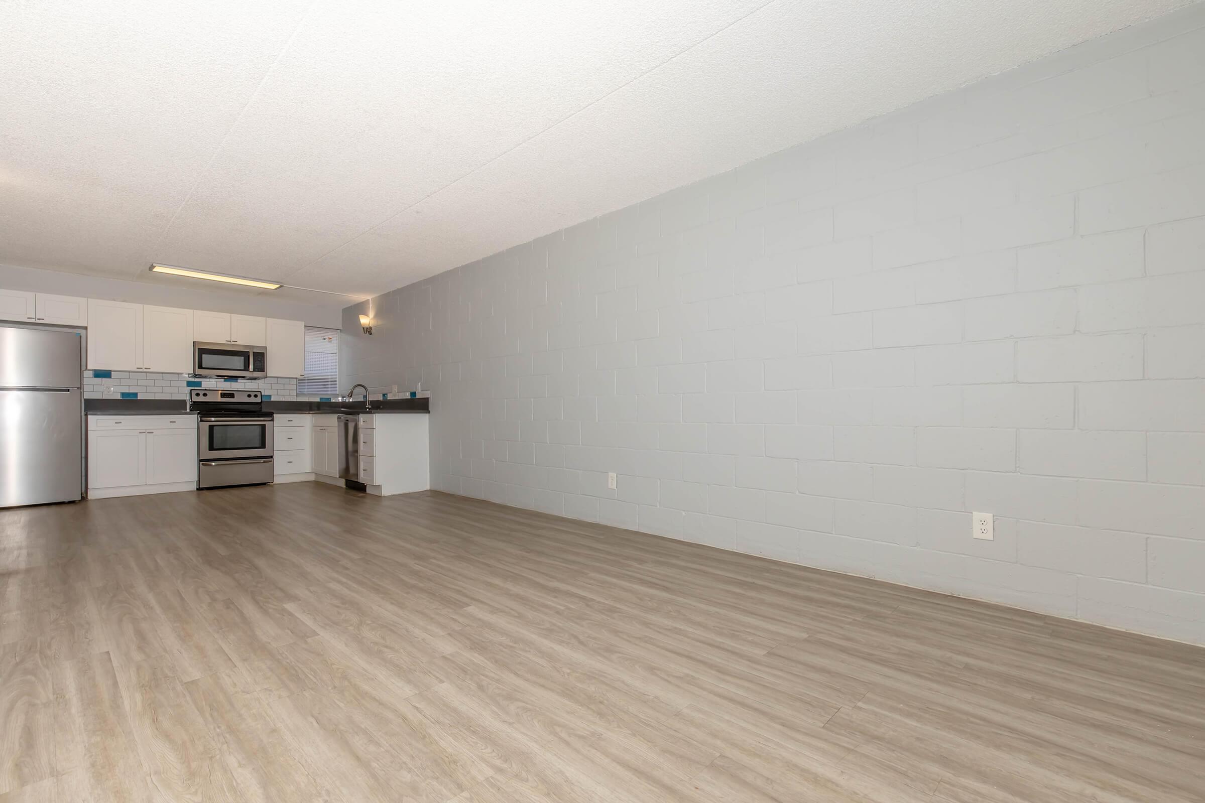 Modern open-concept kitchen and living area featuring a light gray painted wall, wood-style flooring, and a spacious layout. The kitchen includes stainless steel appliances, a dark countertop, and cabinets, with natural light illuminating the space.