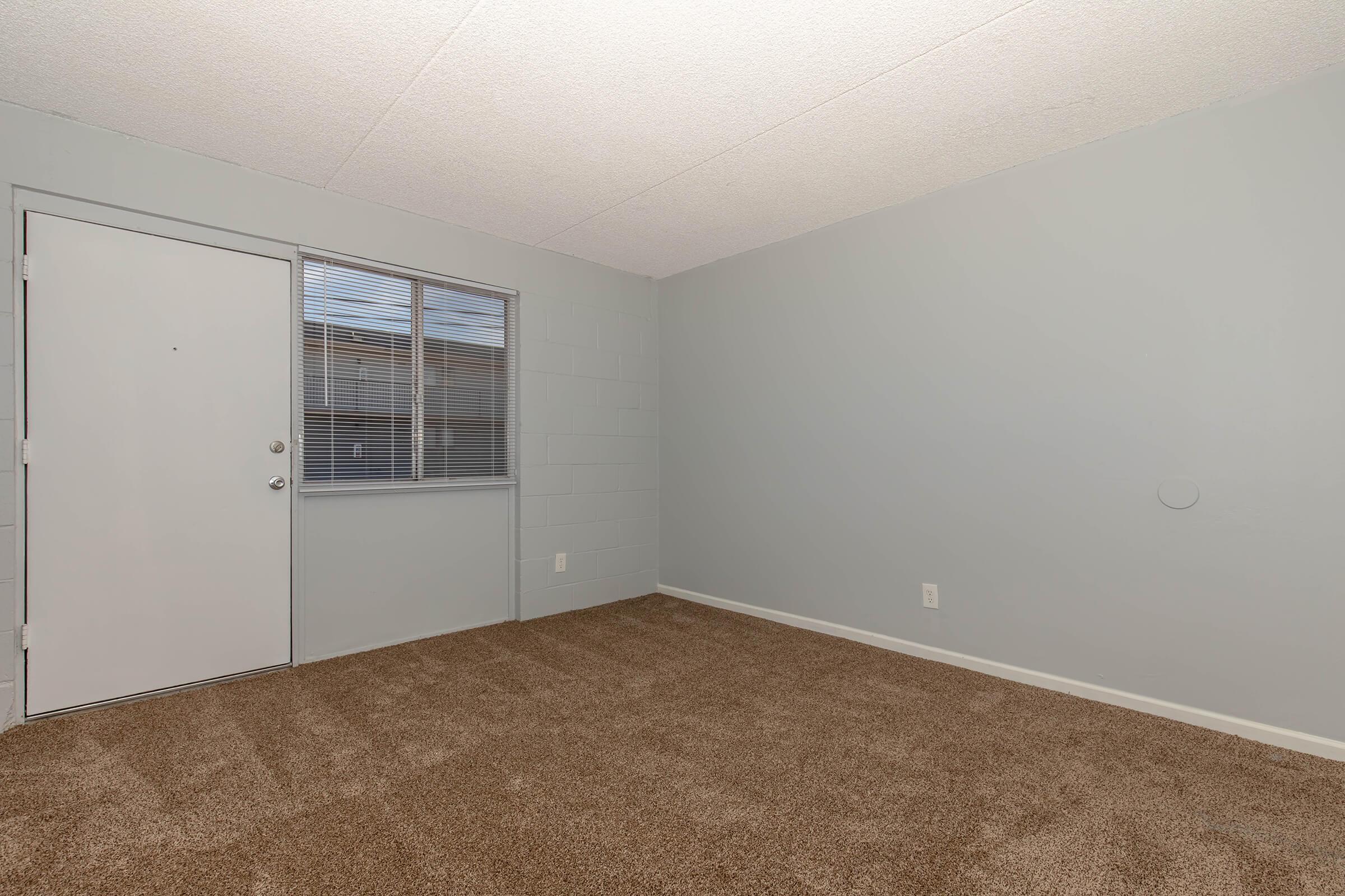 Empty room with light gray walls and a brown carpet. A closed door is on the left, and a window with white blinds is visible on the right. The space is well-lit, suggesting a bright atmosphere, and features simple, unadorned architecture with no furniture or decorations.