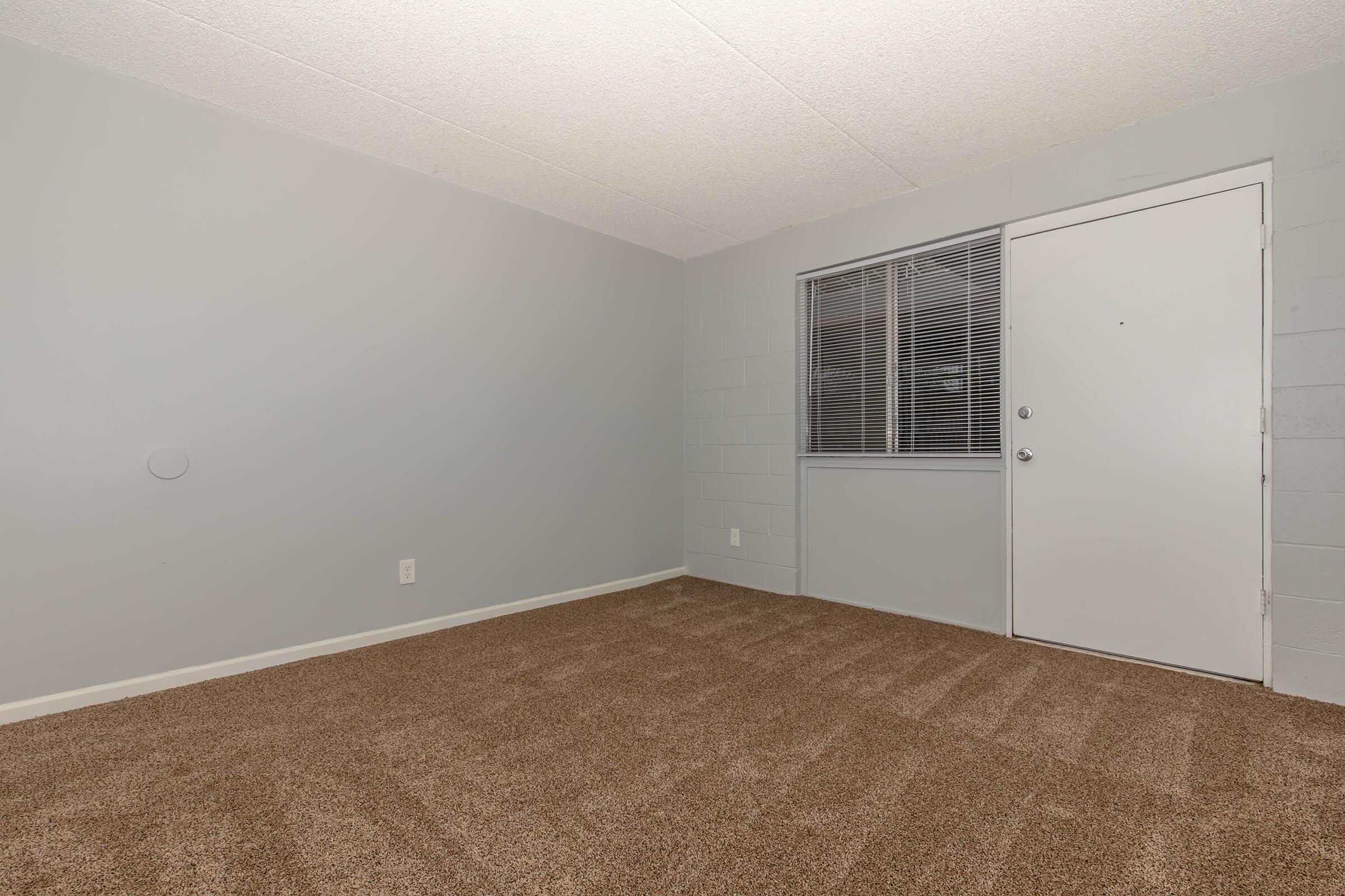 Empty room with light gray walls and plush beige carpet. A small window with blinds allows natural light, and a plain white door is on the right side. The room is devoid of furniture, showcasing a spacious and clean ambiance.