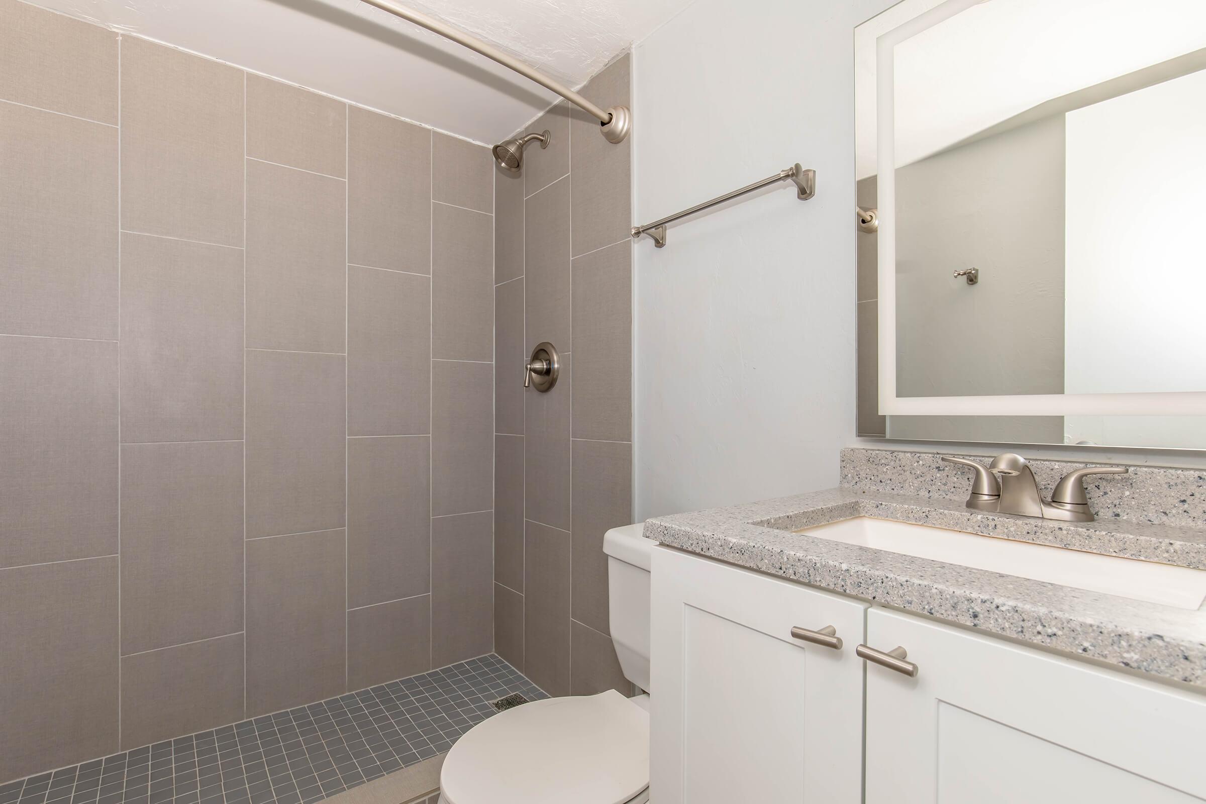 Modern bathroom featuring a walk-in shower with gray tiled walls, a sleek vanity with a granite countertop, and a mirror. The space is well-lit, showcasing a clean and minimalist design with a white toilet and a towel bar on the wall.
