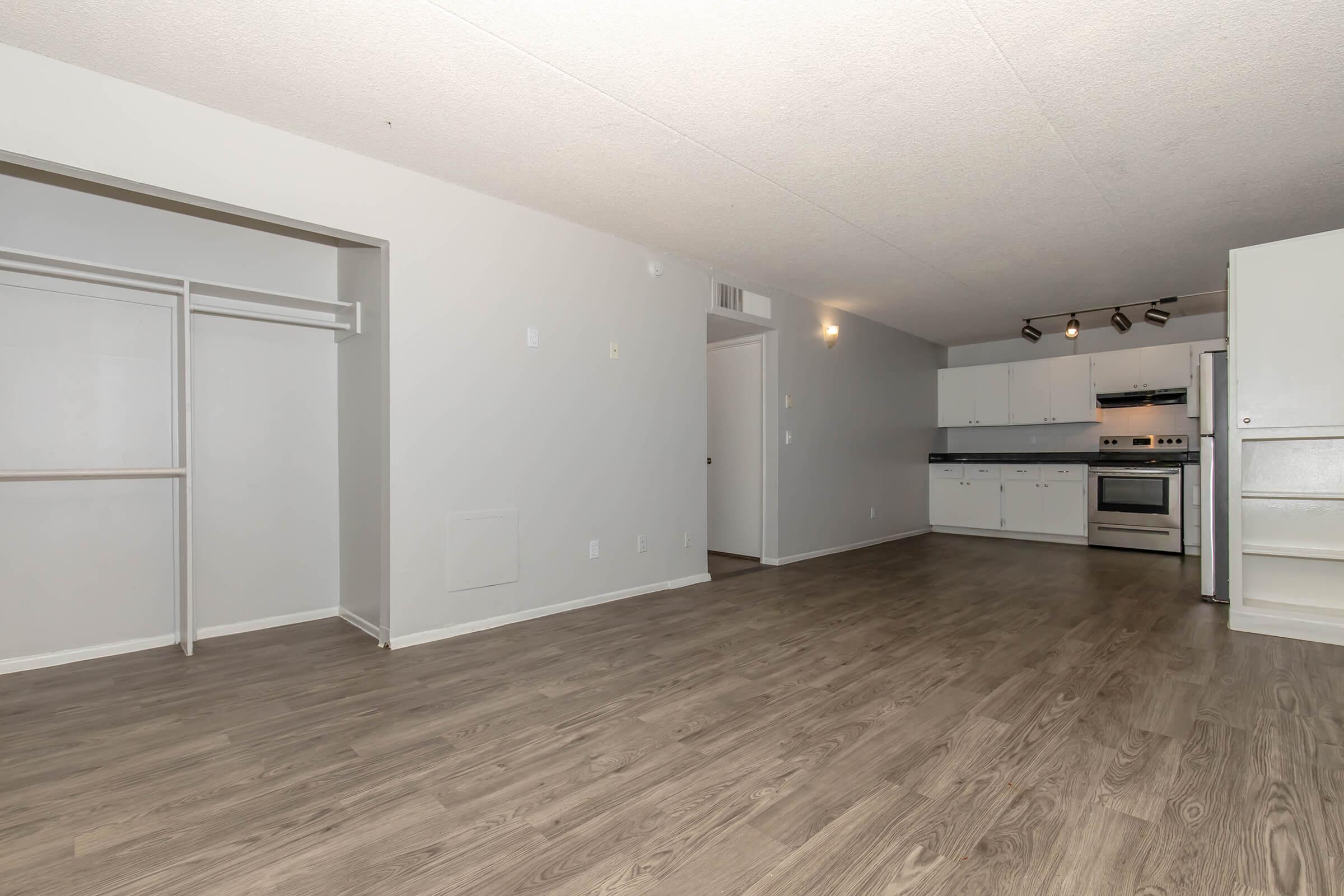 Spacious and empty apartment interior featuring light-colored walls, wooden flooring, a kitchen area with modern appliances, and a large closet space. The open layout enhances the feeling of space, with natural lighting illuminating the area.