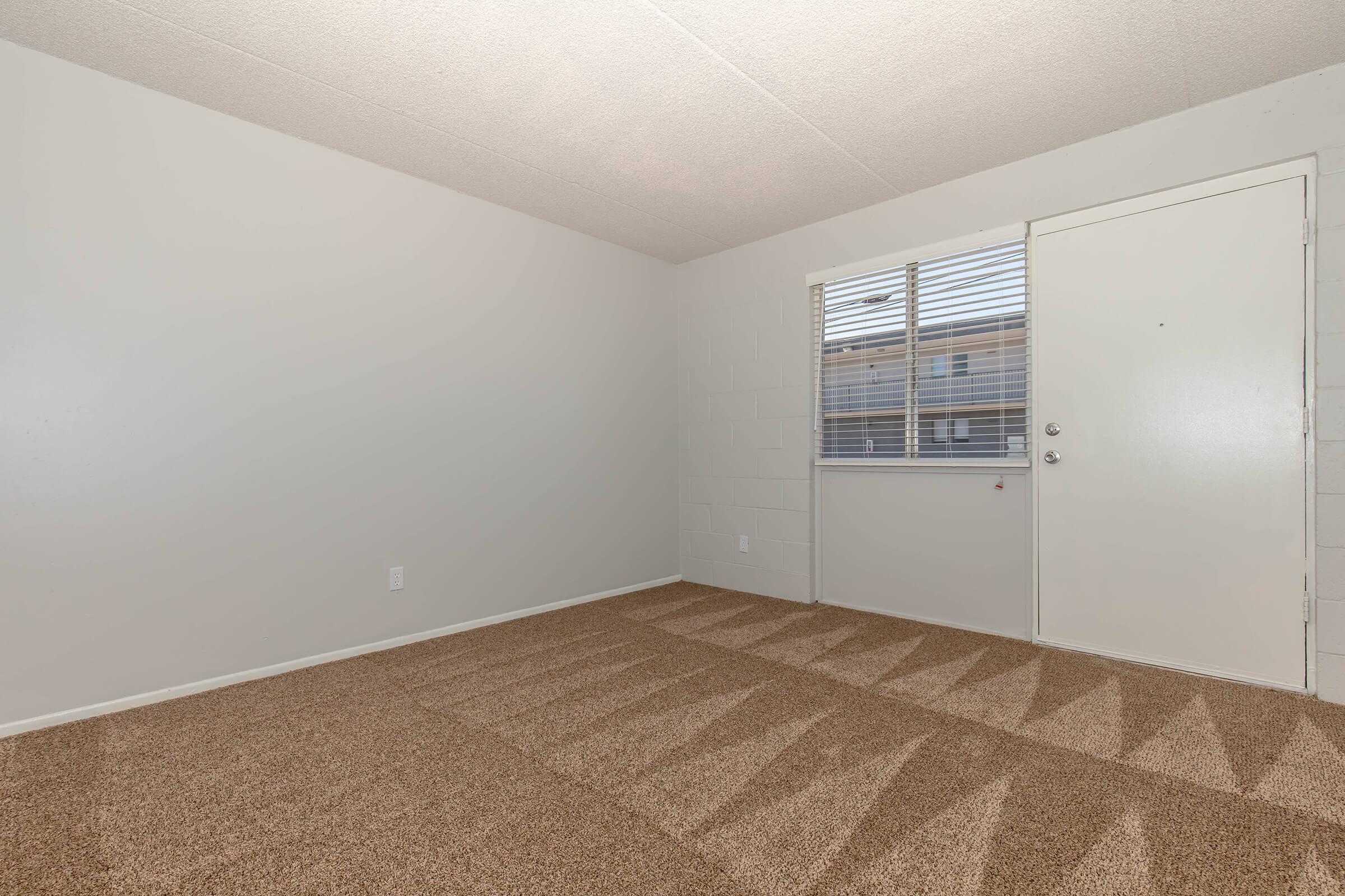 Empty room with light beige carpet and white walls. A single window with horizontal blinds lets in natural light, and a door is situated on one wall. The room appears spacious and unfurnished, suggesting potential for various uses or decoration.