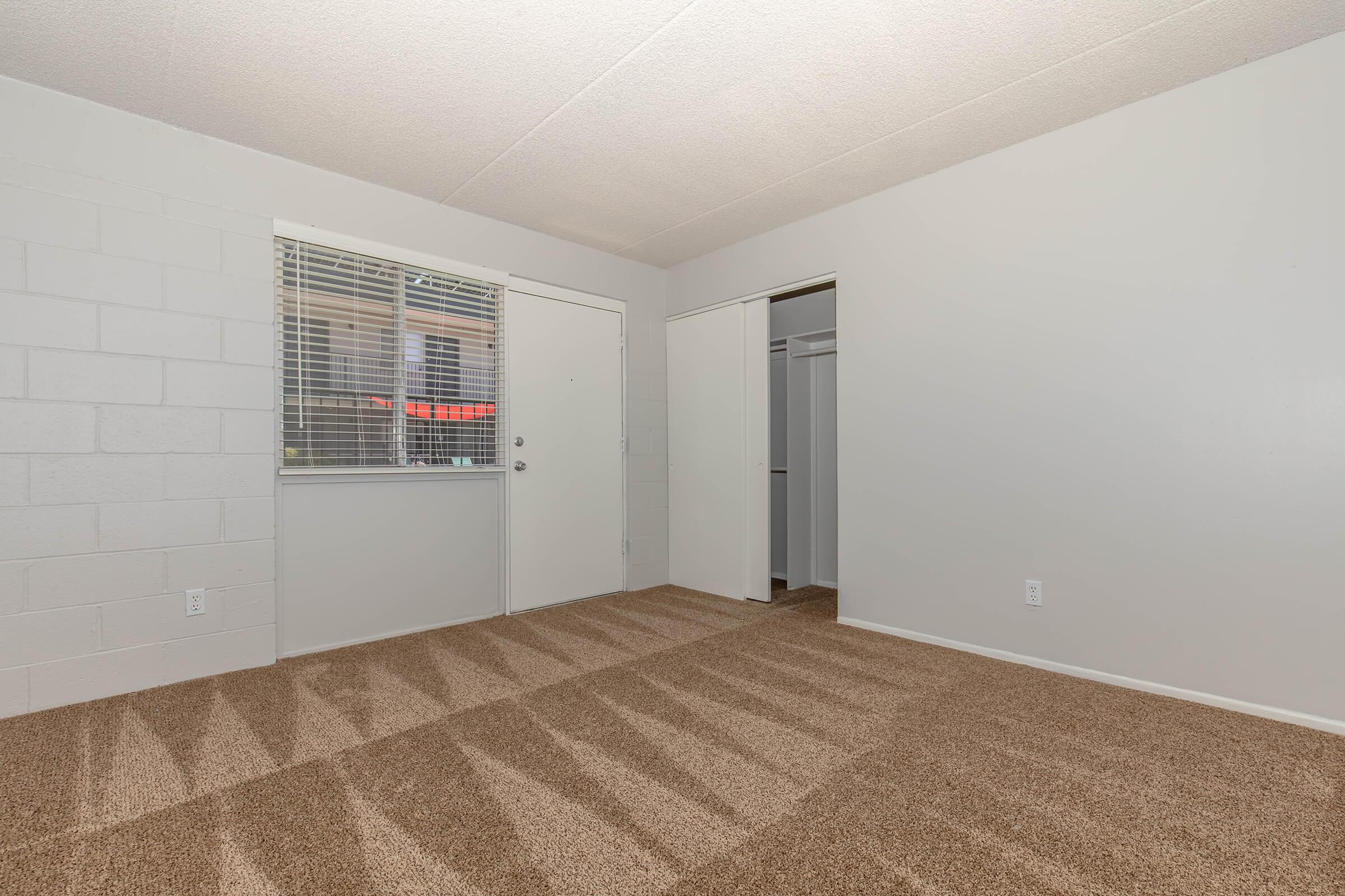 A spacious, blank room featuring beige carpet flooring, light gray walls, and a window with blinds. There's a door leading outside, and a closet accessible through an open doorway on the right. The overall atmosphere is bright and inviting, perfect for customization.