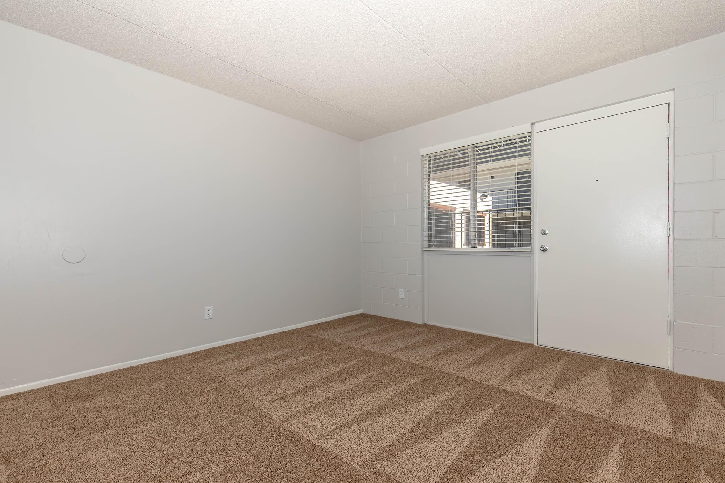 Empty room with beige carpet flooring, light gray walls, and a window allowing natural light. A white door is visible on the right side of the image. The room appears spacious and uncluttered, suitable for personal decoration or furnishing.