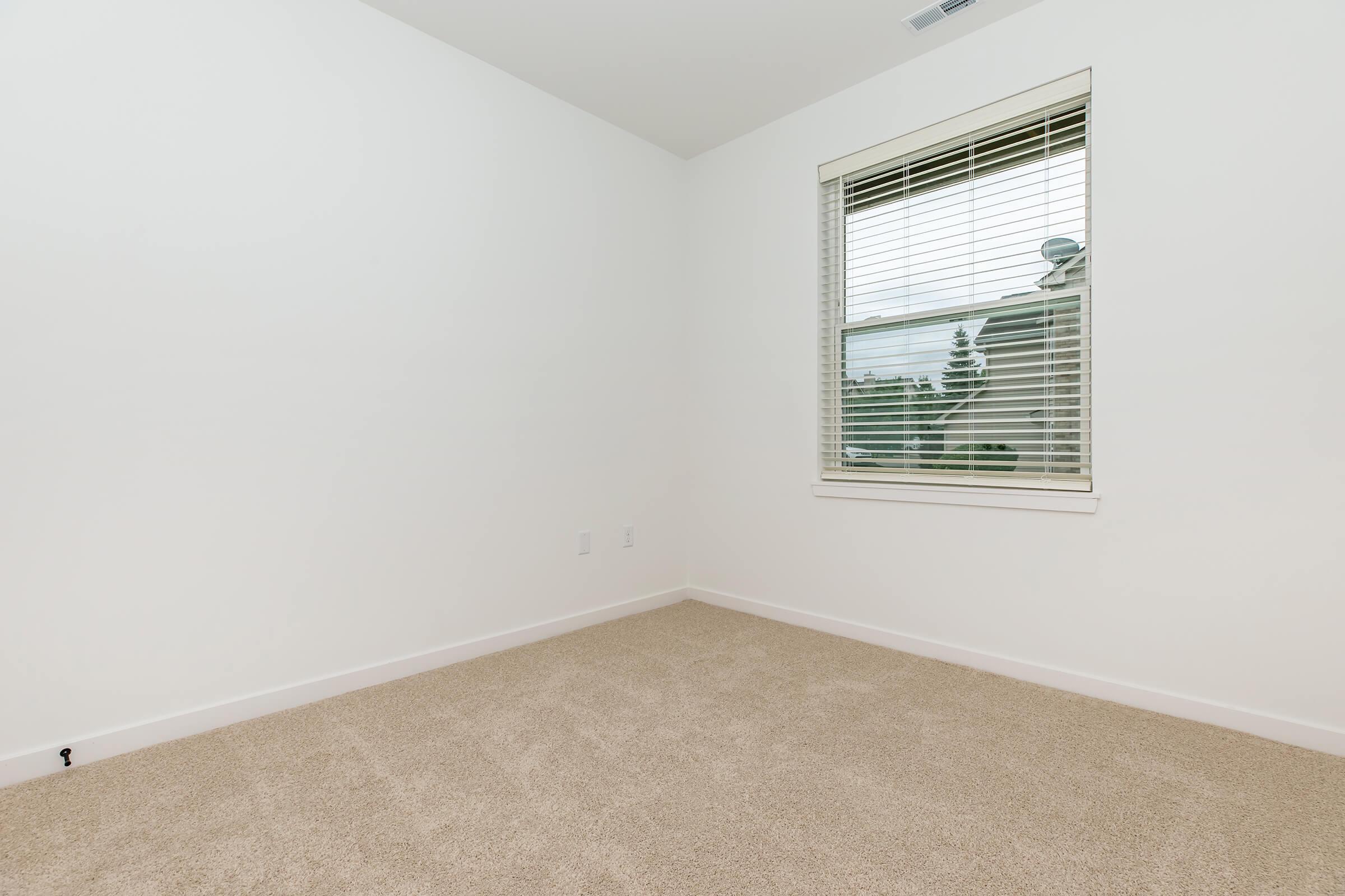 Empty room with light-colored walls and a tan carpet. A window with white blinds lets in natural light, revealing a view of trees outside. The overall atmosphere is bright and inviting, creating a clean and minimalist space.