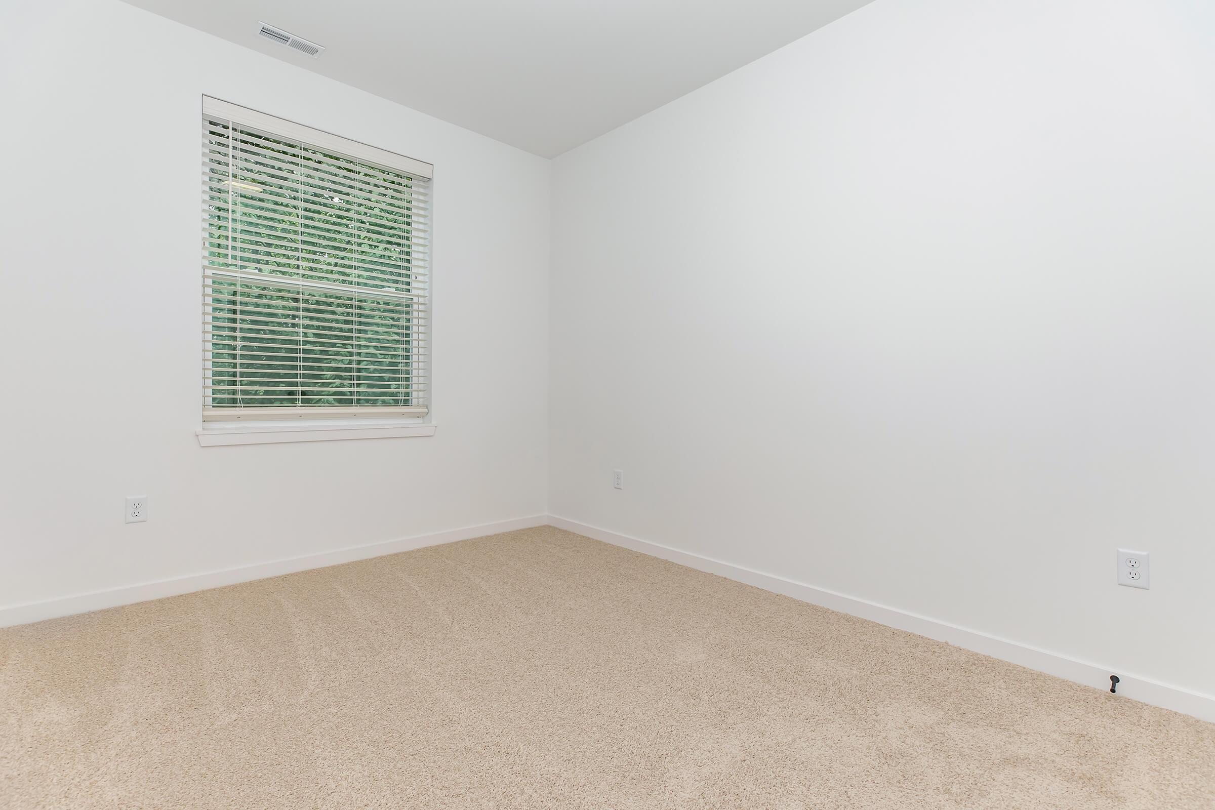 Empty room with light beige carpet and white walls. A window with blinds allows natural light to enter, illuminating the space. The room is uncluttered, creating a sense of openness and minimalism. There are no furnishings or decorations present.