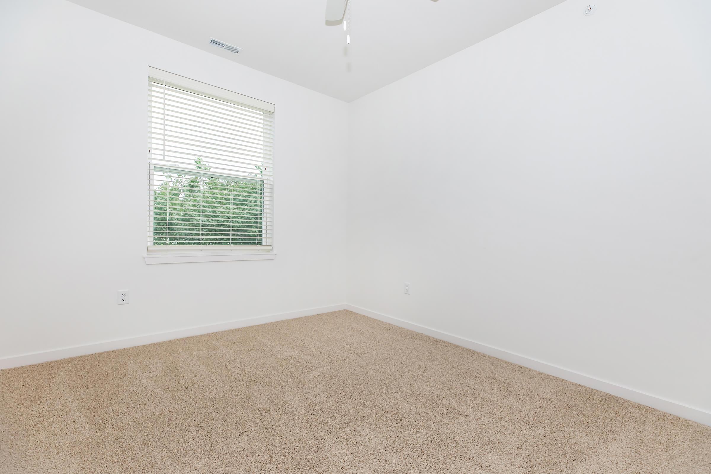Empty room with white walls and light brown carpet. A window with blinds is visible, allowing natural light to enter. The room appears clean and minimally furnished, suitable for various uses.