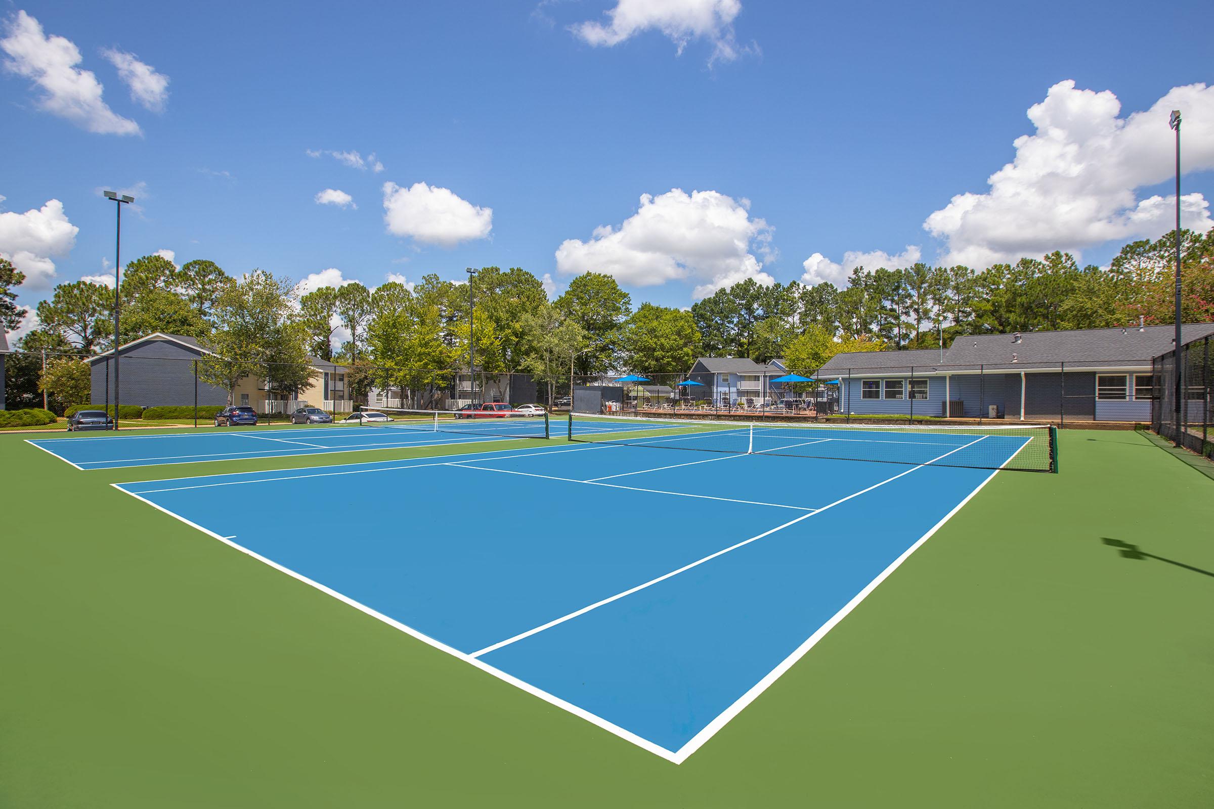 a blue and green court