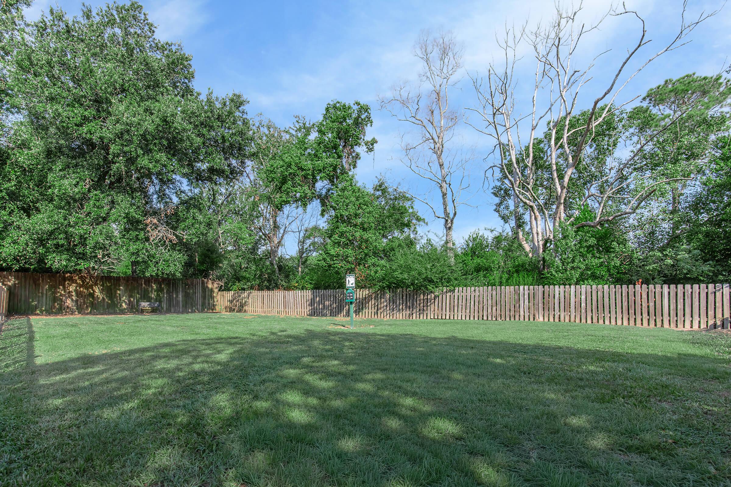 A wide view of a grassy area surrounded by tall trees and a wooden fence. The sky is partly cloudy, and there are some dead tree branches visible, indicating a natural setting. The space appears well-maintained, suitable for outdoor activities or relaxation.