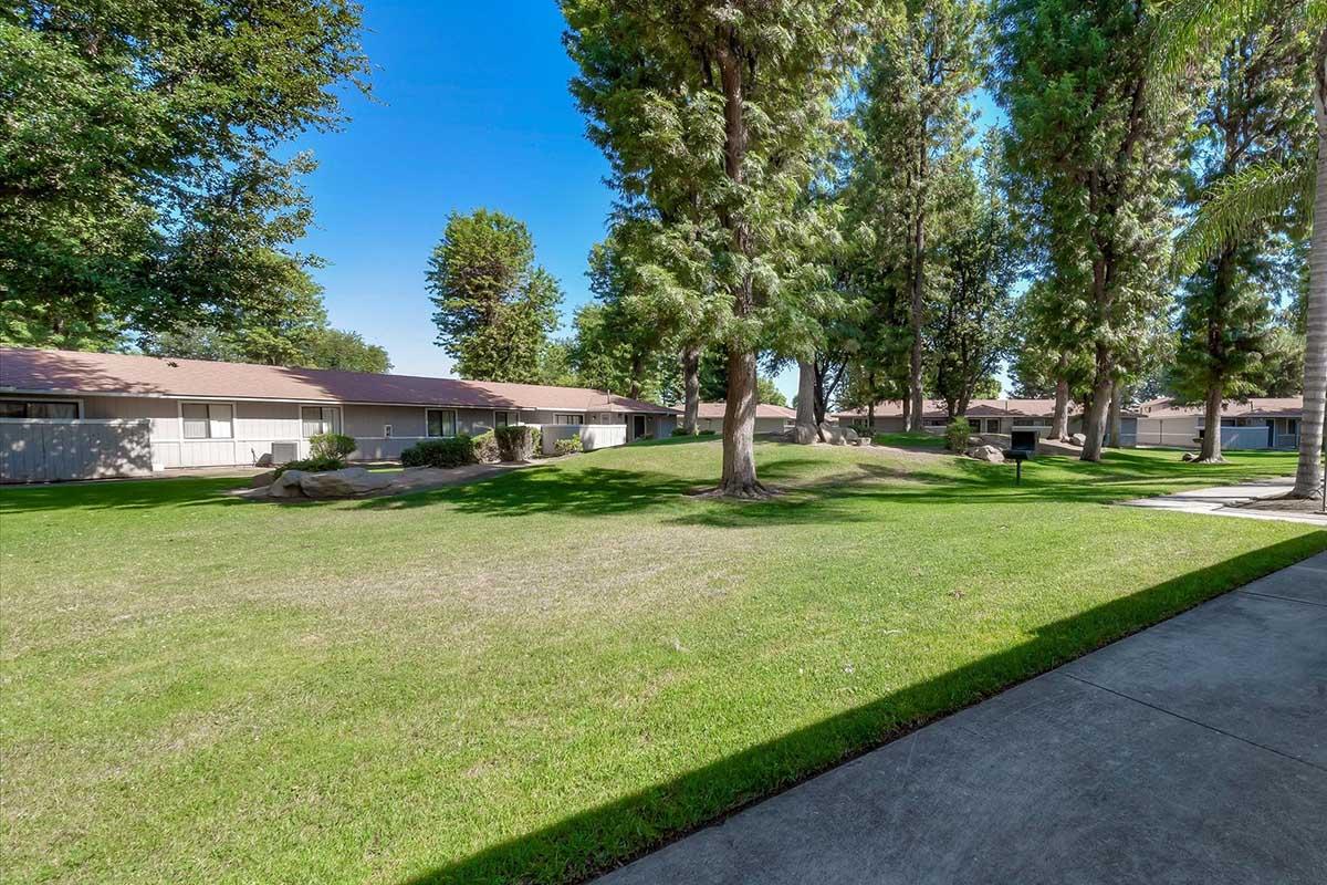 lawn with trees