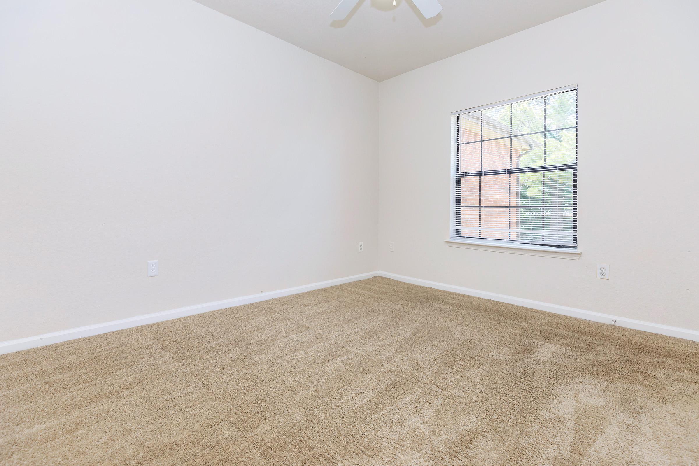 Empty room with light beige carpet, white walls, and a ceiling fan. A large window with blinds lets in natural light, casting a soft glow on the flooring. The room appears spacious and is devoid of furniture, creating a minimalist atmosphere.