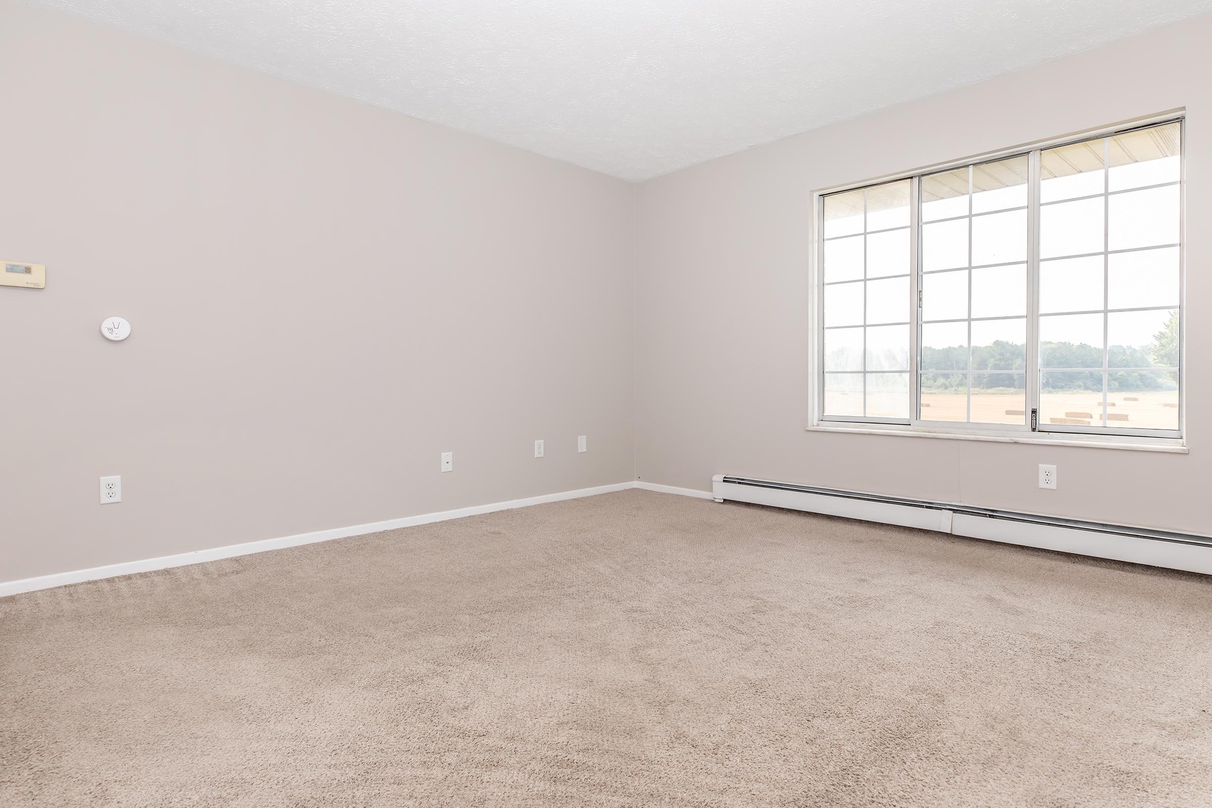 A spacious, empty room with beige carpet and light gray walls. One large window allows natural light to enter, offering a view of greenery outside. A thermostat is mounted on the wall, and there are baseboards along the floor. The overall atmosphere is bright and open.