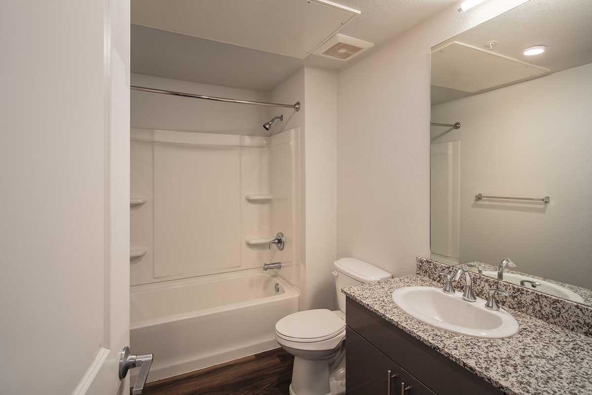 A clean and modern bathroom featuring a bathtub with a shower, a toilet, and a vanity with a granite countertop and dual sinks. The walls are painted in a light color, and there is a large mirror above the sink. Natural light comes in through a ceiling light fixture.