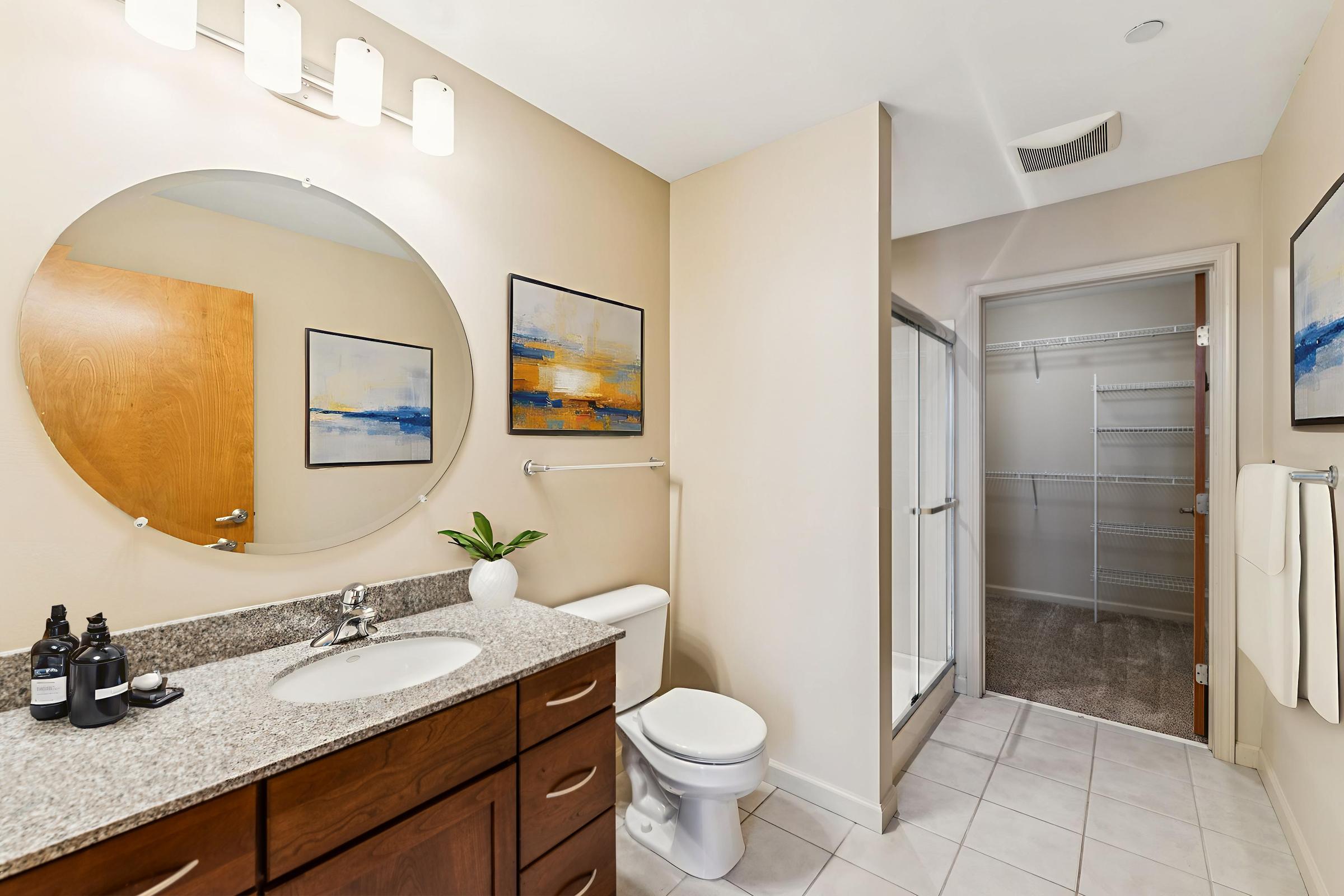 A modern bathroom featuring a circular mirror above a granite countertop with bottles, a toilet, and a walk-in shower. Light-colored walls and two abstract paintings add a touch of decor, while a small plant is placed on the counter. A wooden door leads to a closet with shelves.