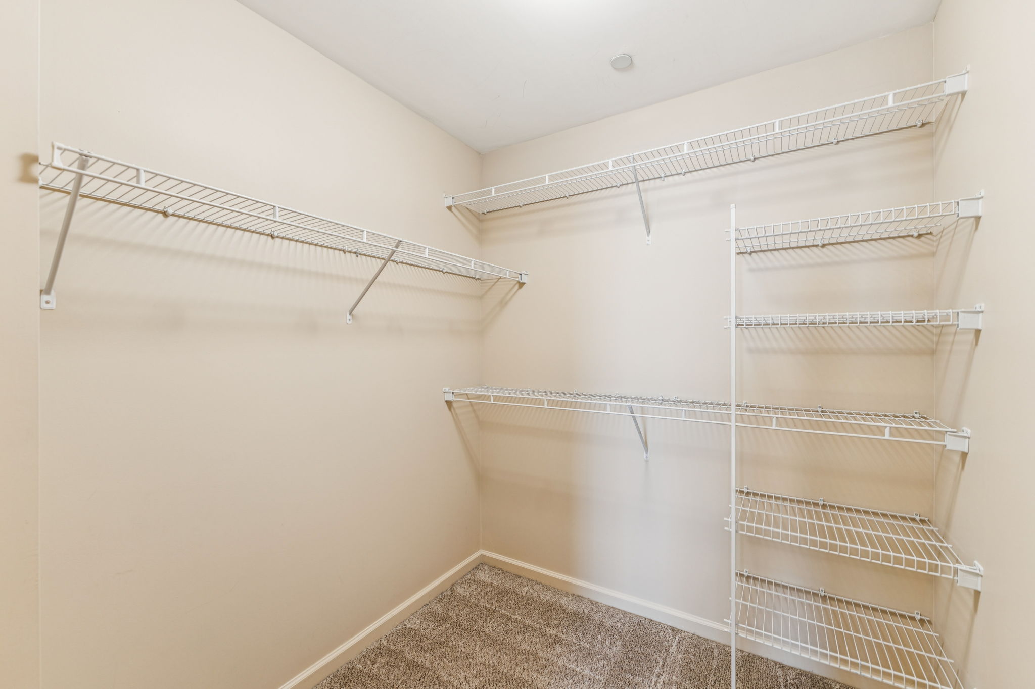 A spacious empty closet featuring multiple wire shelving units in a light-colored room with carpeted flooring. The shelves are arranged along the walls, providing ample storage space. The overall appearance is clean and organized, suitable for organizing clothes and accessories.
