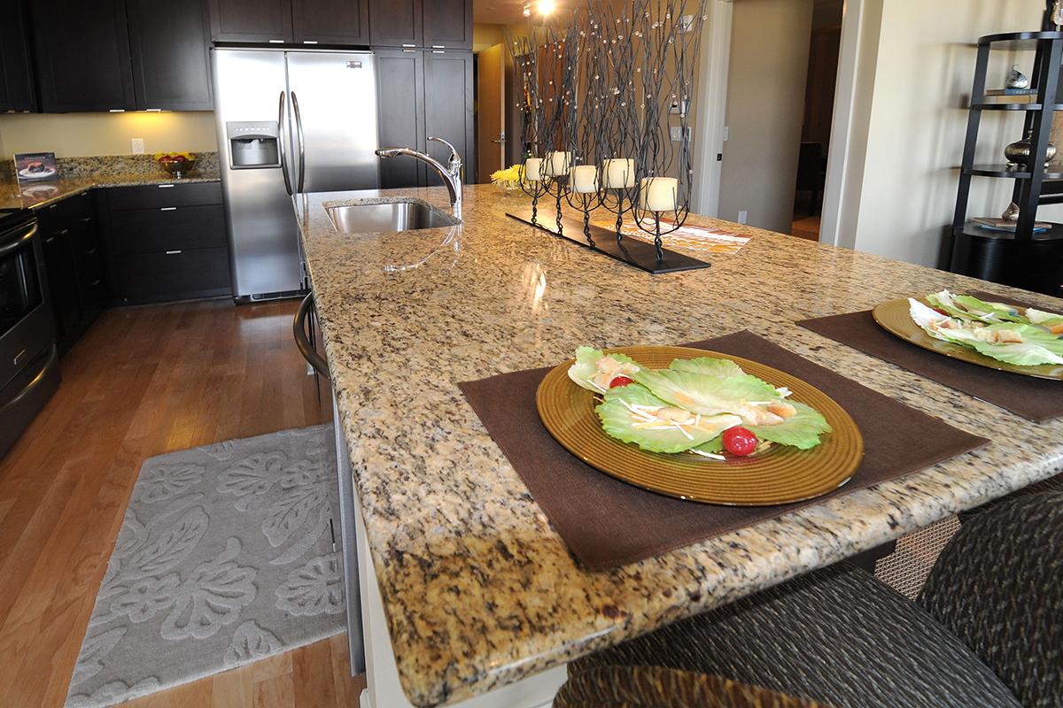 GORGEOUS AND SOLID GRANITE COUNTERTOPS