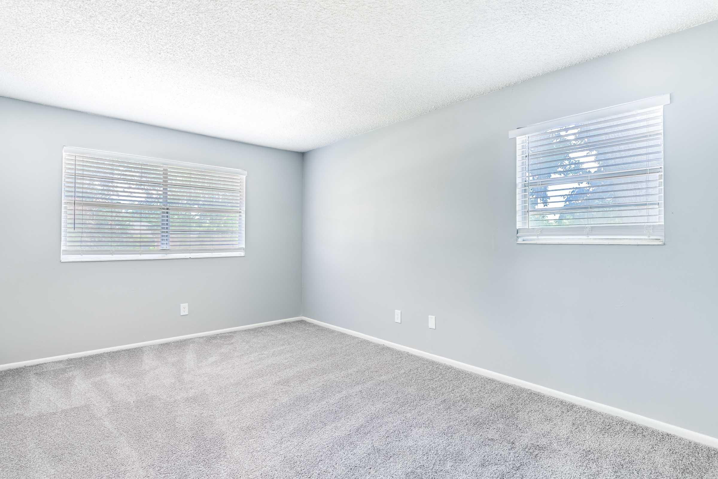 A bright and empty room with light gray walls and carpet. Two windows with white blinds allow natural light to fill the space. The room is minimally decorated, providing a clean and open atmosphere, ideal for various uses or personal customization.