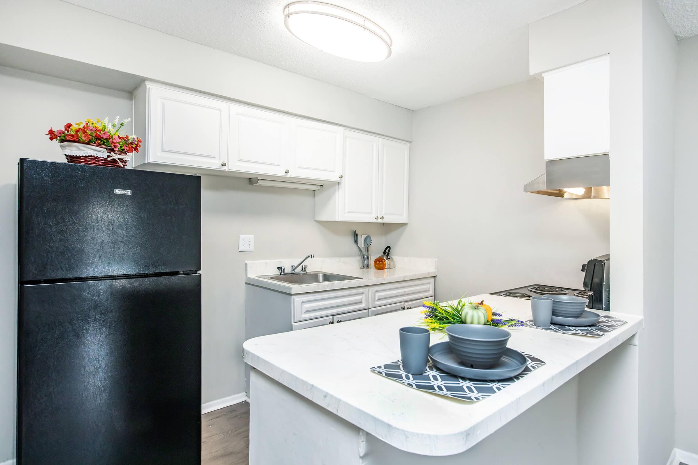 Modern kitchen featuring a black refrigerator, white cabinets, a sink, and a stove. There is a small countertop with neatly arranged tableware, including plates and utensils. The room is well-lit with a sleek overhead light, and a decorative plant is visible, adding a touch of color to the space.