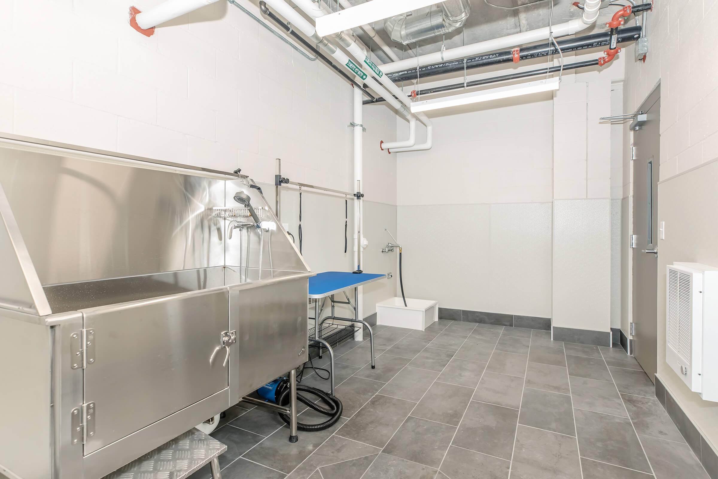 A spacious indoor grooming area featuring a stainless steel wash station with a handheld shower, a blue grooming table, and a tiled floor. Pipes and ventilation systems are visible on the ceiling, and there is a shower area in the corner, giving a clean and organized look suitable for pet care.