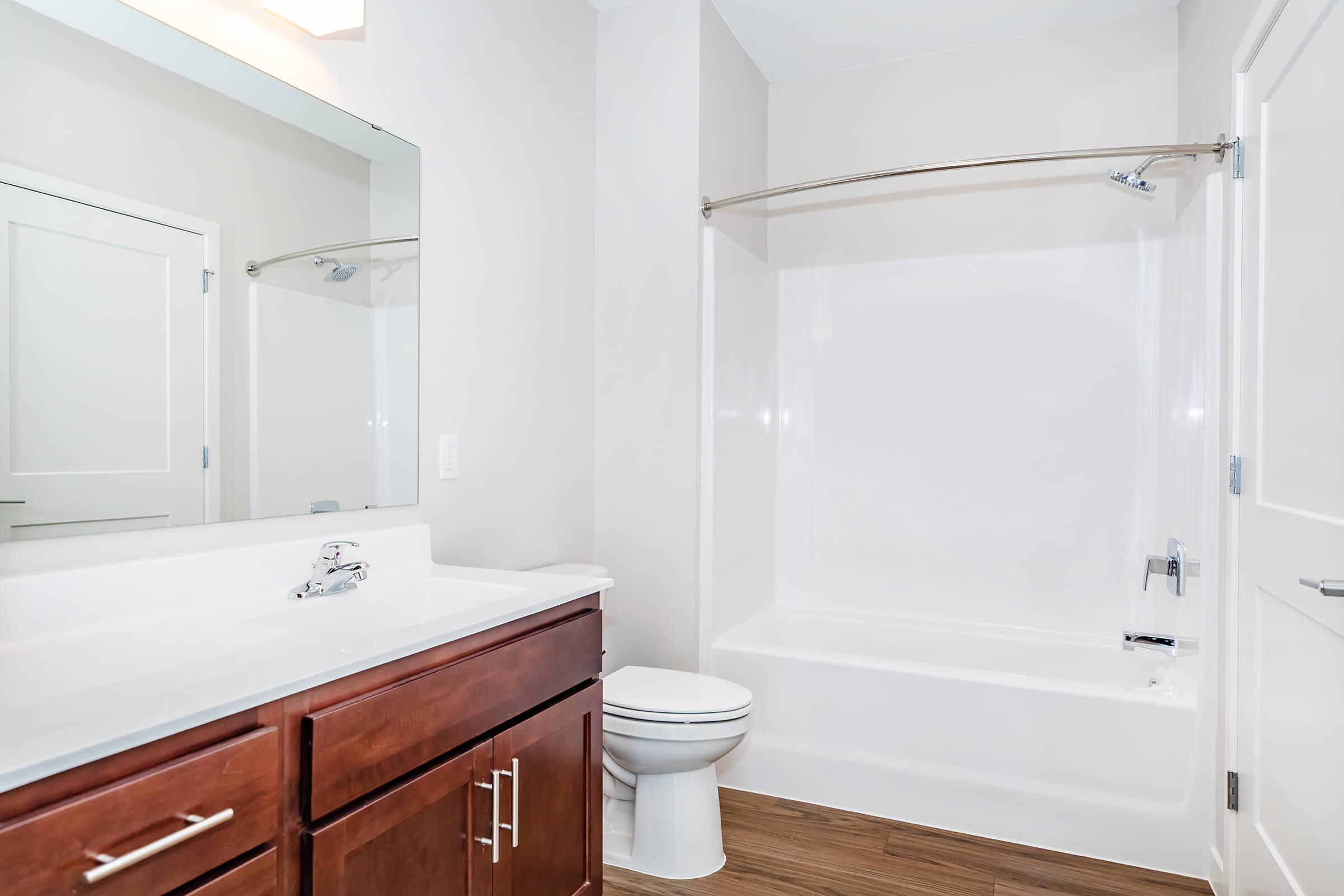 Modern bathroom featuring a white bathtub and shower combination, a large mirror above a sleek vanity with dark wood cabinetry, and a toilet. The walls are painted in a light neutral color, and the flooring has a wood-like appearance, giving the space a clean and contemporary look.