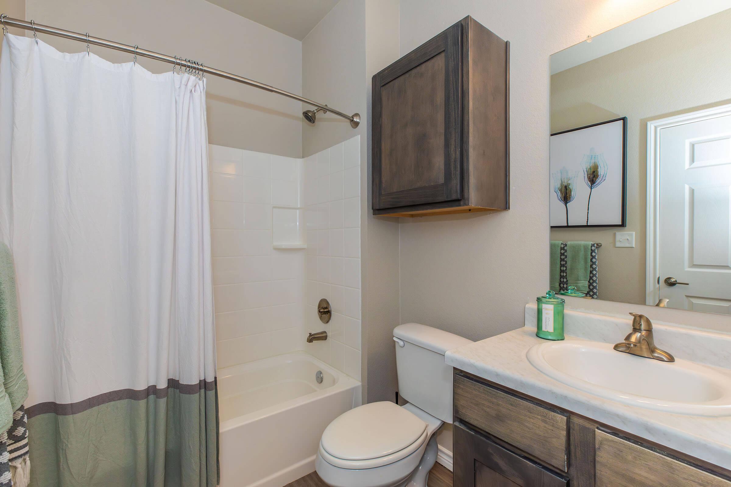 a shower curtain next to a sink