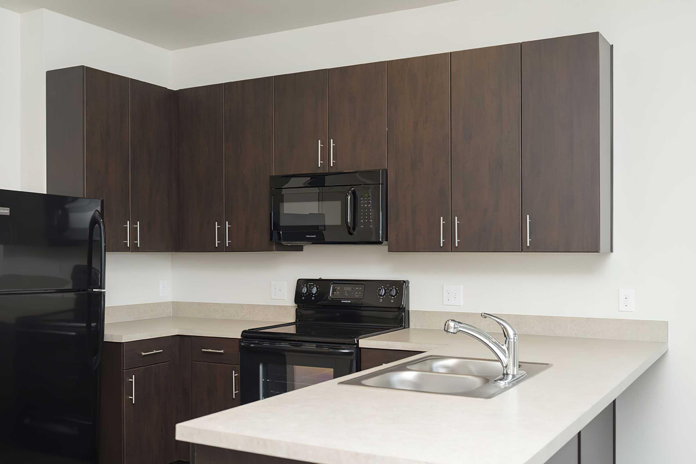 Modern kitchen featuring dark wood cabinetry, a black refrigerator, a microwave mounted above an electric stove, and a double stainless steel sink on a light-colored countertop.