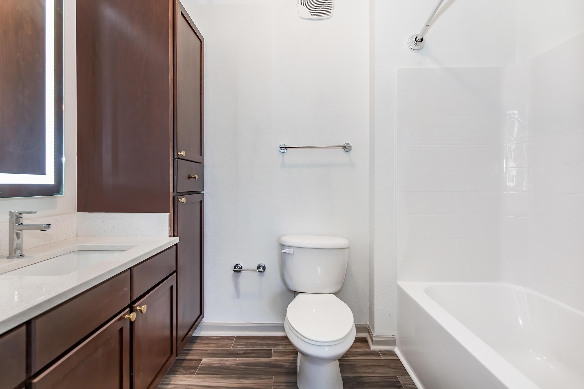 Modern Bathroom With Lots of Cabinet Space