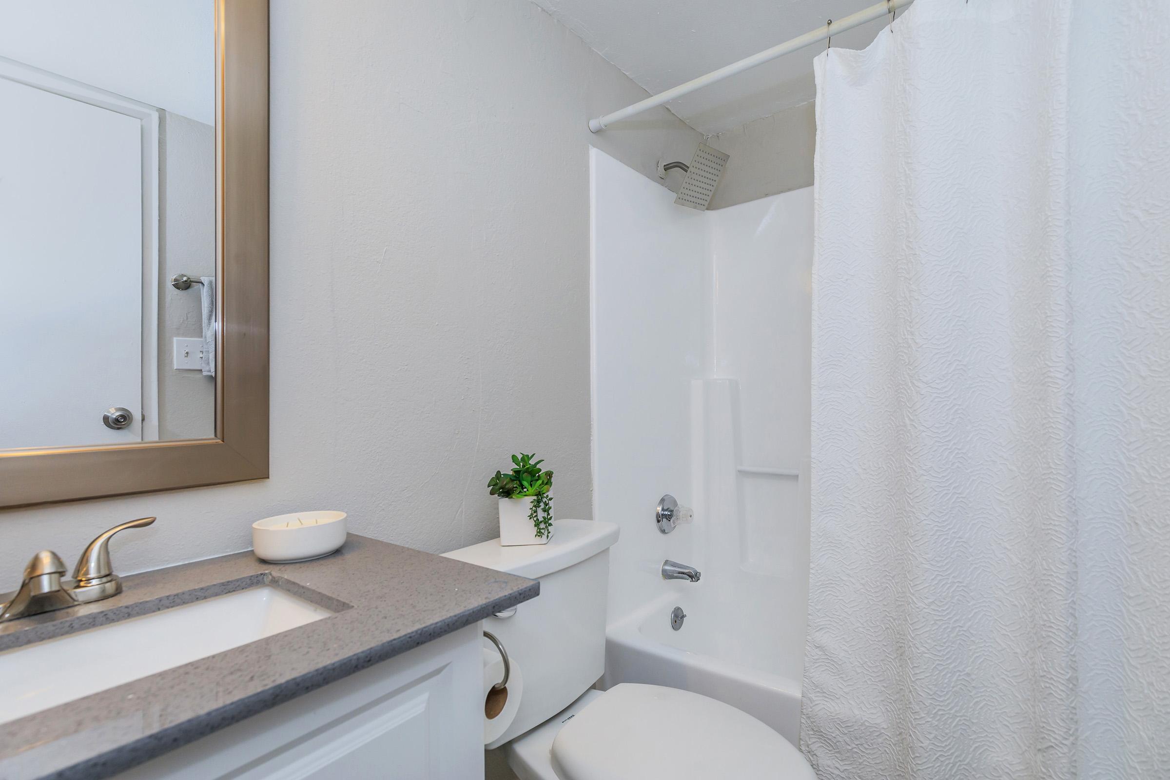 Modern apartment bathroom with mirrored vanity, toilet, and shower at Rise on Cave Creek