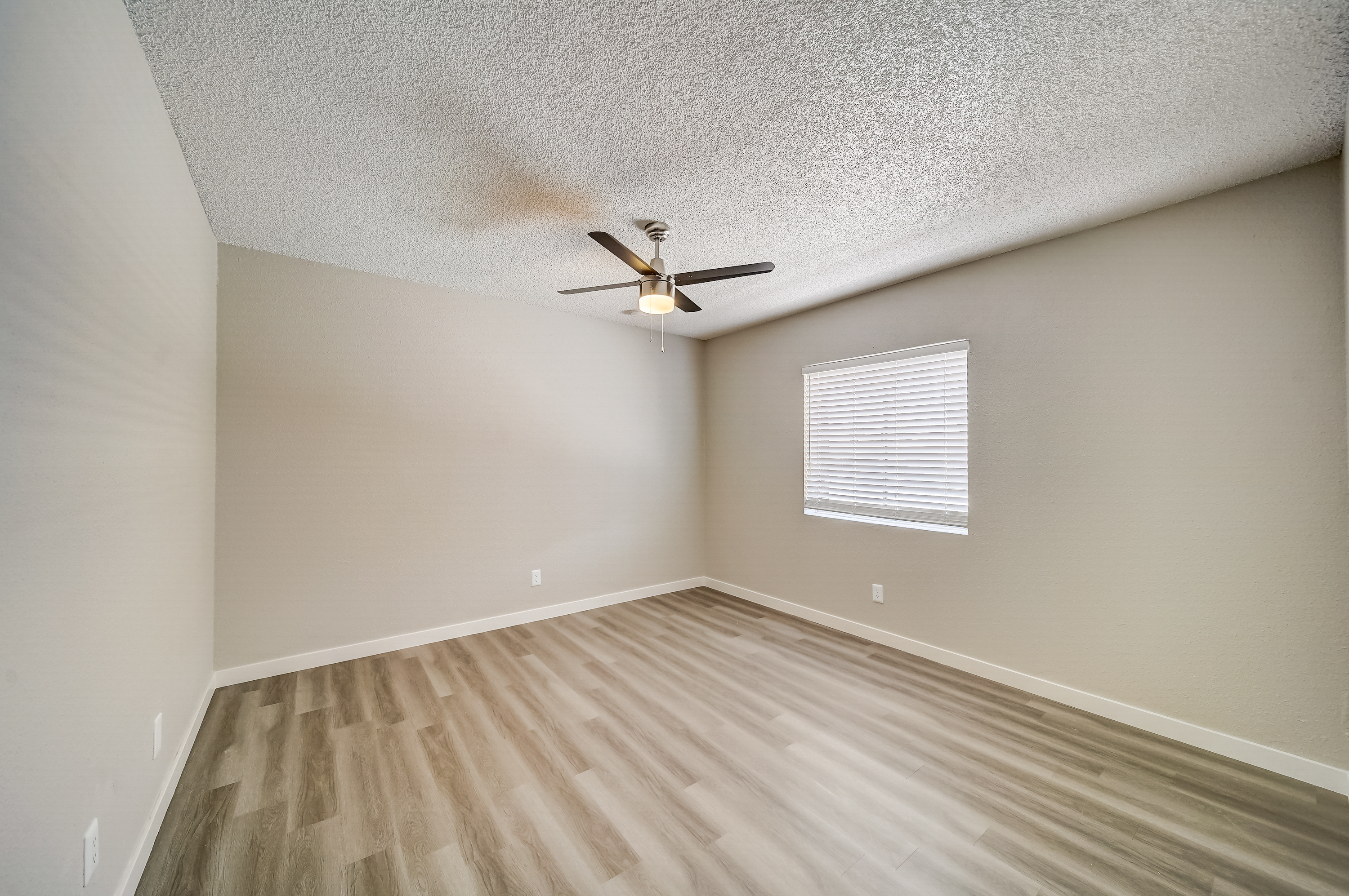 a bird sitting on top of a wooden floor