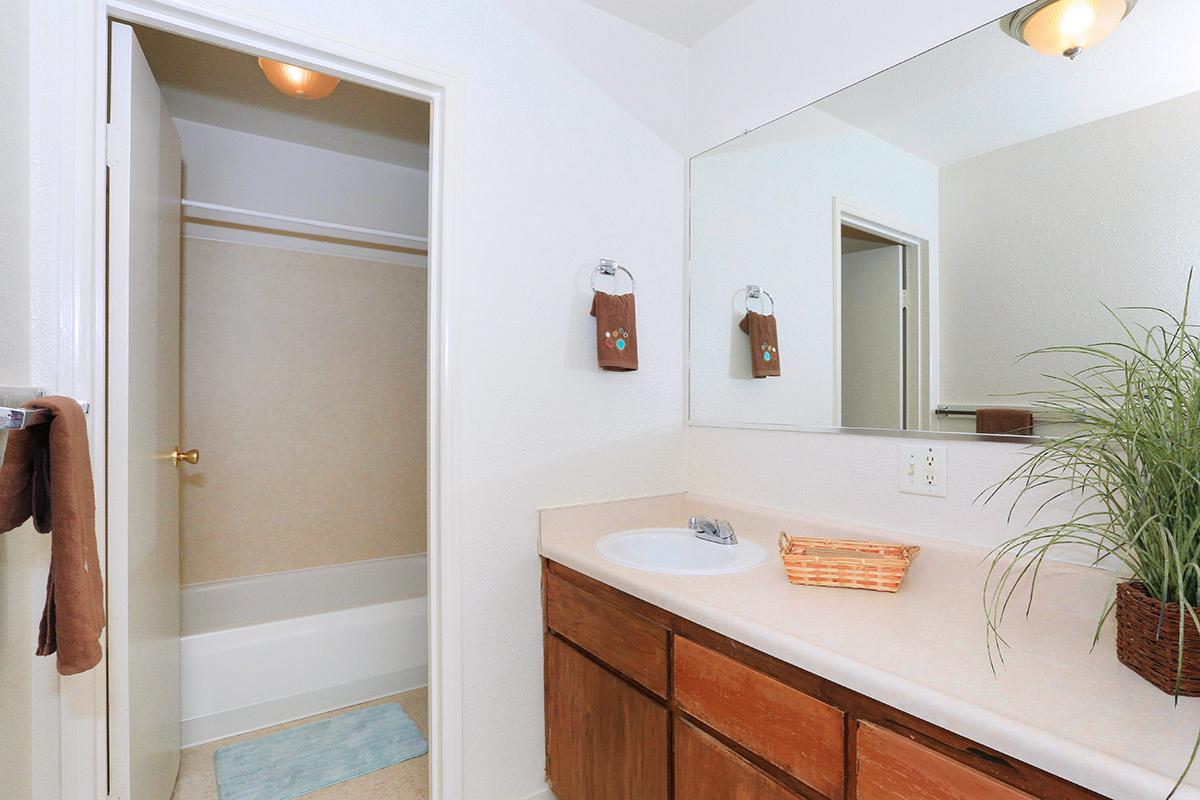 A tidy bathroom featuring a sink with a countertop, a large mirror above, and wooden cabinets beneath. A door on the left leads to a shower/bathtub area, while a small plant and decorative items add a touch of warmth. Soft lighting enhances the neutral color scheme of the walls and furnishings.