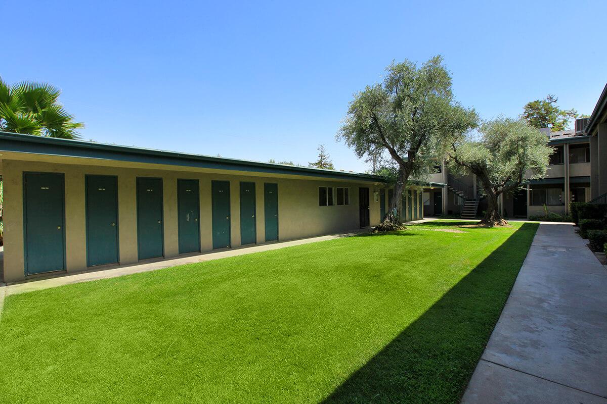 A well-maintained courtyard featuring a green lawn and several olive trees. On one side, there are rows of doors indicating individual units or rooms. The clear blue sky adds to the bright atmosphere of the space, providing a serene environment for residents.