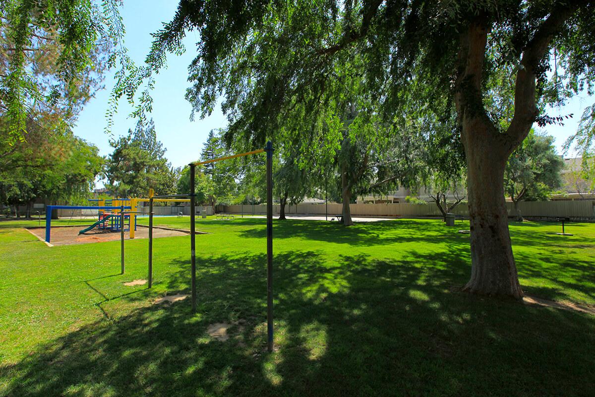 A grassy park area featuring a playground structure, volleyball net, and several large trees providing shade. Bright sunlight illuminates the scene, creating a tranquil outdoor space suitable for recreational activities.