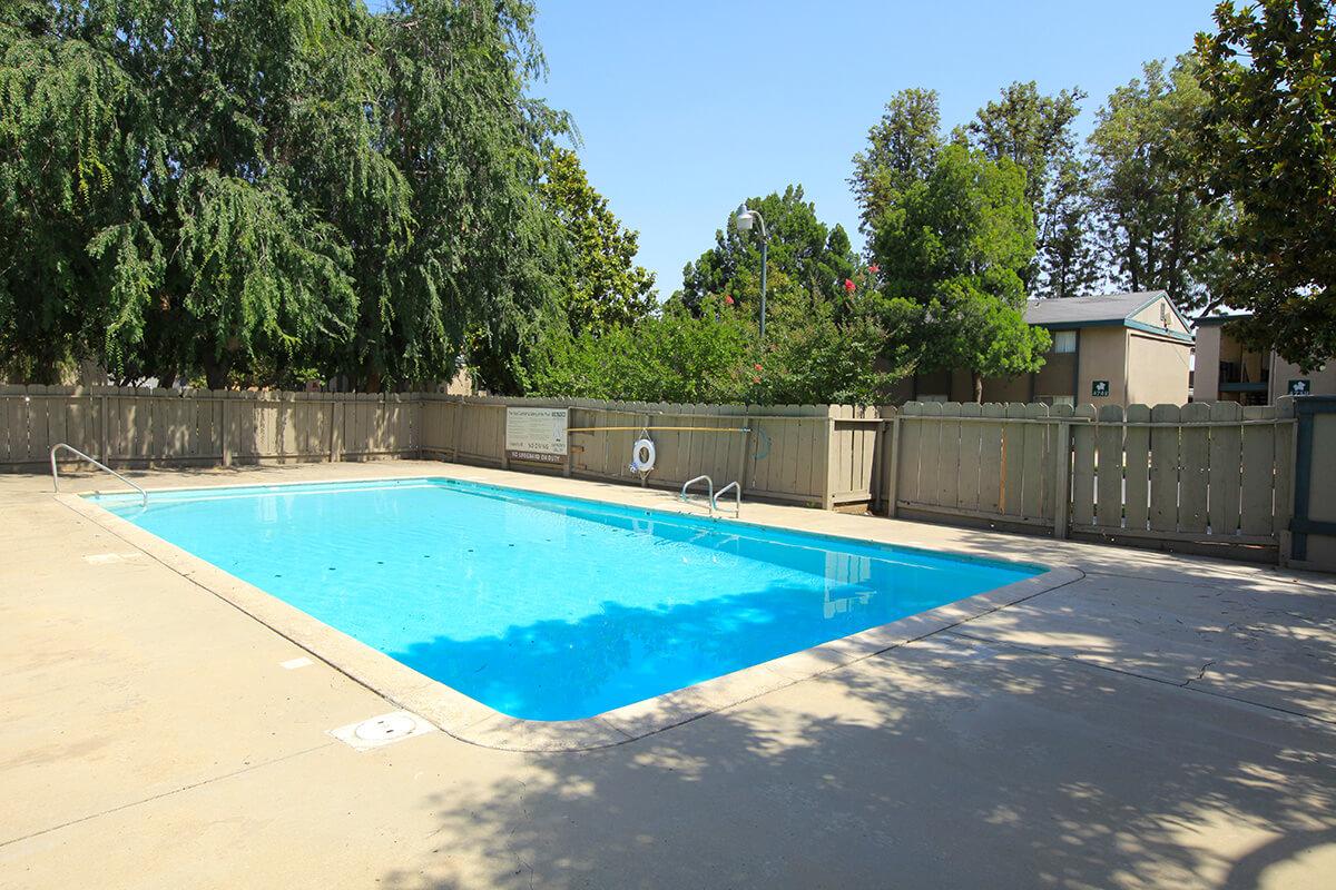 A clear blue swimming pool surrounded by a concrete deck, with a wooden fence in the background. Trees and greenery are visible nearby, and a few lounge chairs are placed around the pool area. The sky is bright and sunny, indicating a warm day.