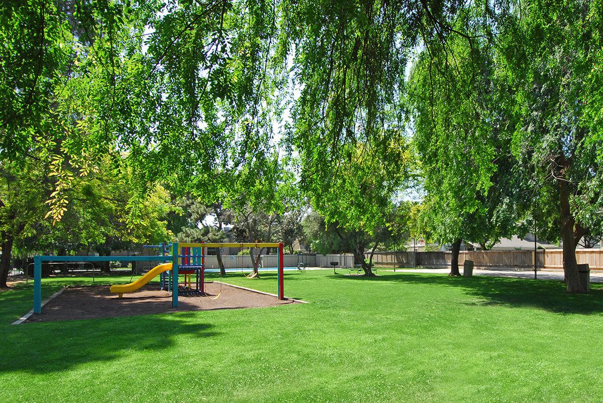 A sunny park scene featuring vibrant green grass, tall trees providing shade, and a colorful children's playground with a slide. The playground is located on a grassy area, surrounded by trees, and there's a clear blue sky in the background.