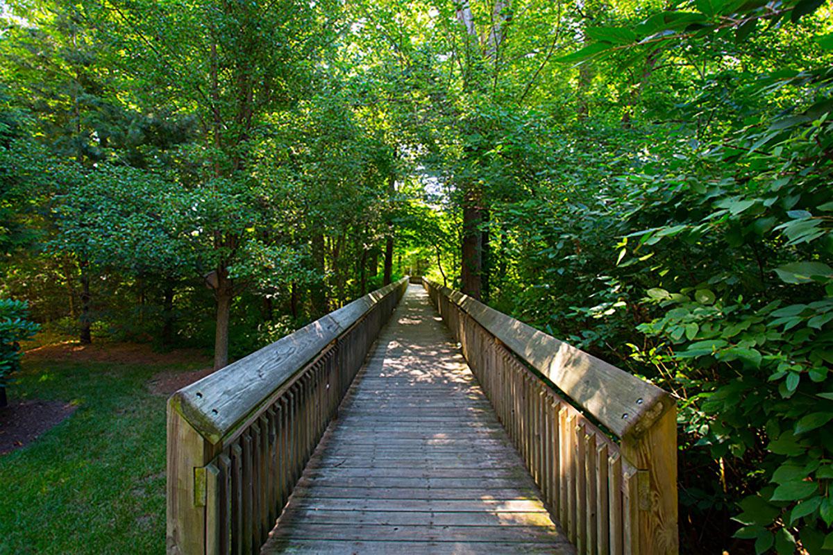 Grand Reserve Orange, CT preserve.jpg