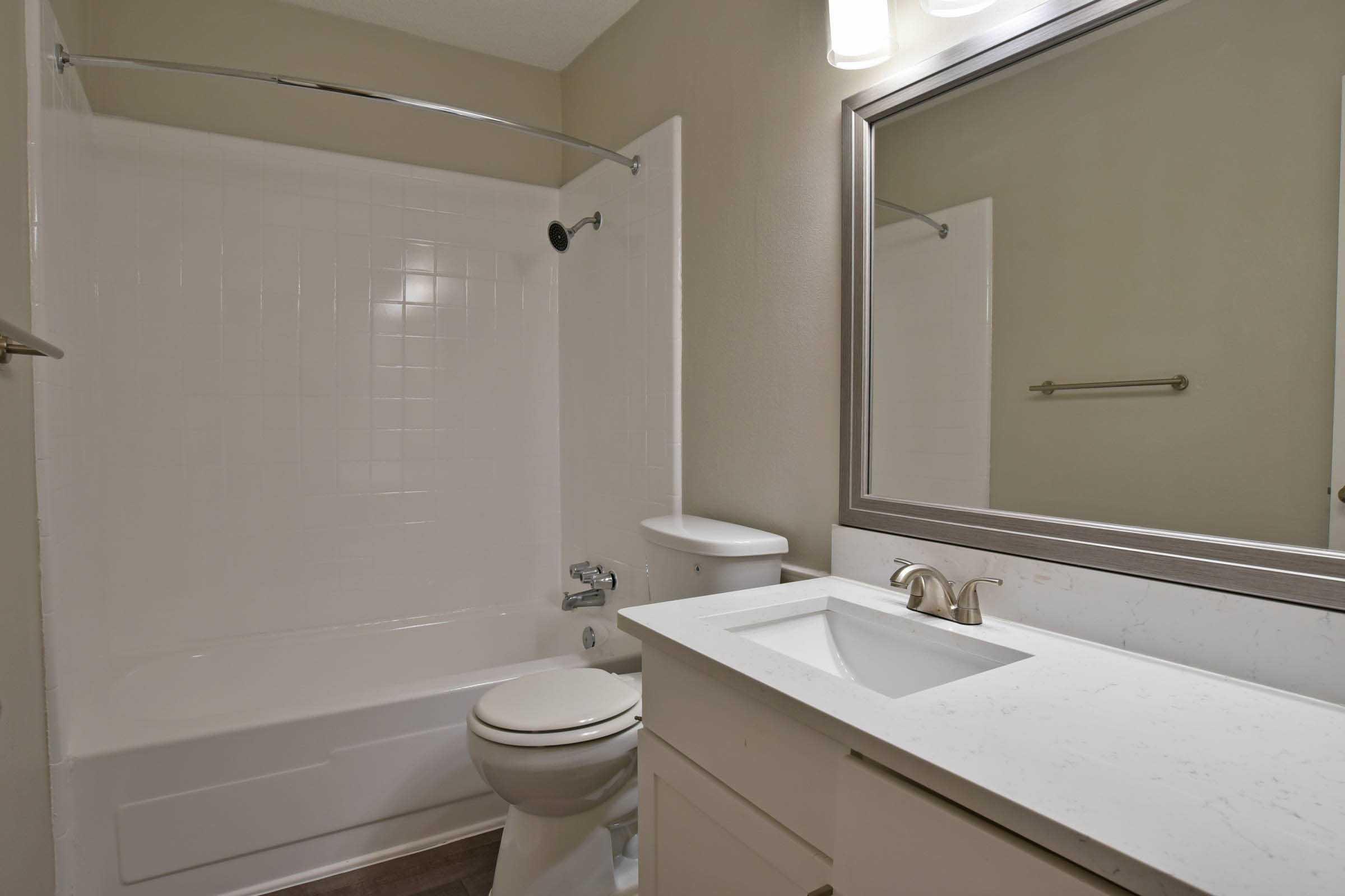 a shower that has a sink and a mirror