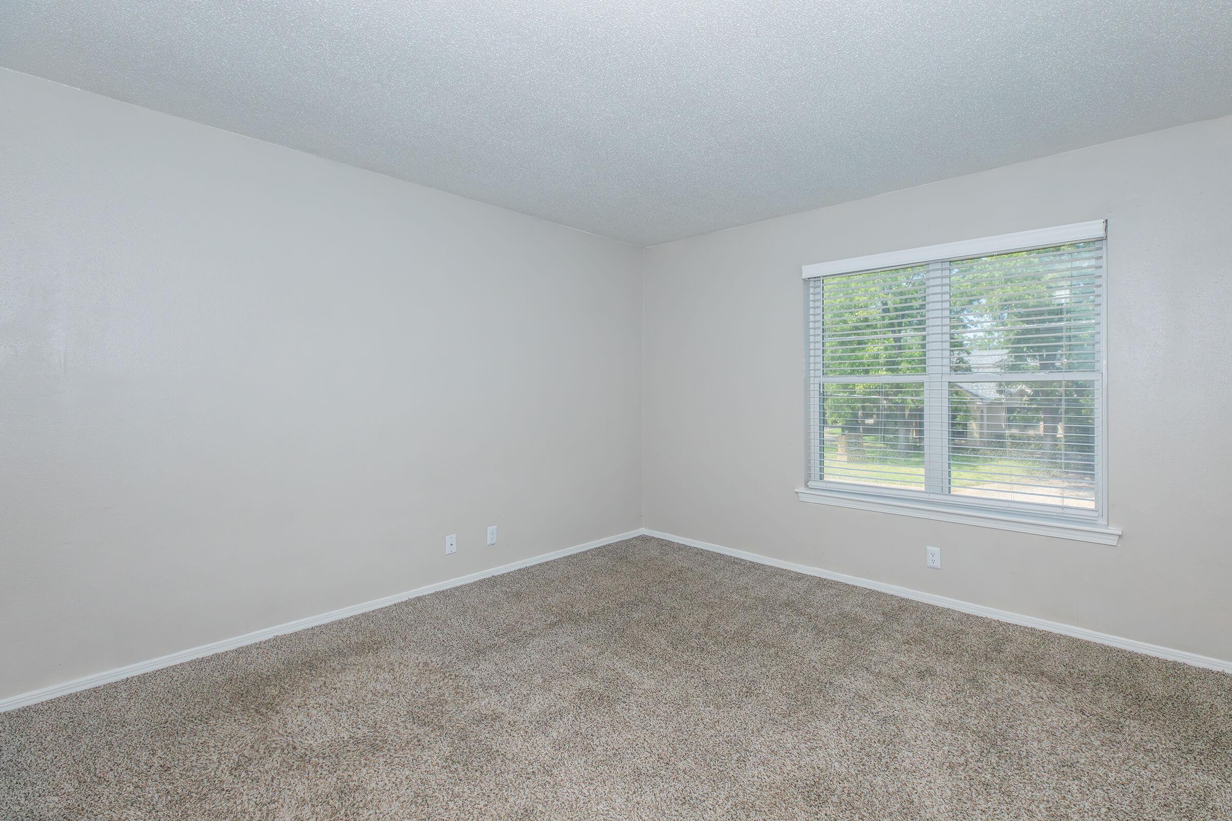 Empty room with light gray walls and a carpeted floor. A window with white blinds allows natural light to enter, revealing greenery outside. The space is unfurnished, creating a clean and open atmosphere, ideal for personal decoration.