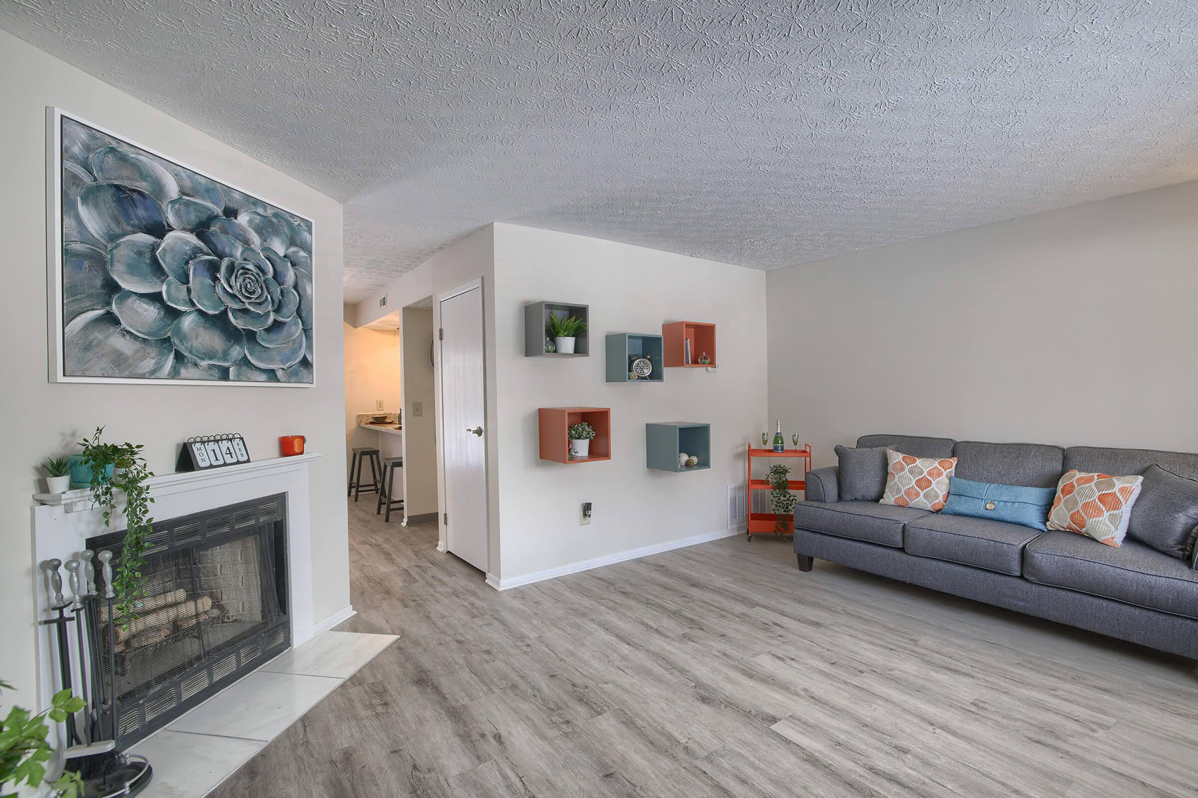 A cozy living room featuring a grey sofa with patterned cushions, a decorative wall with a large succulent painting, and colorful wall-mounted shelves. A fireplace is located in the corner with decorative items, while an open kitchen area can be seen in the background. The floor is light wood grain.