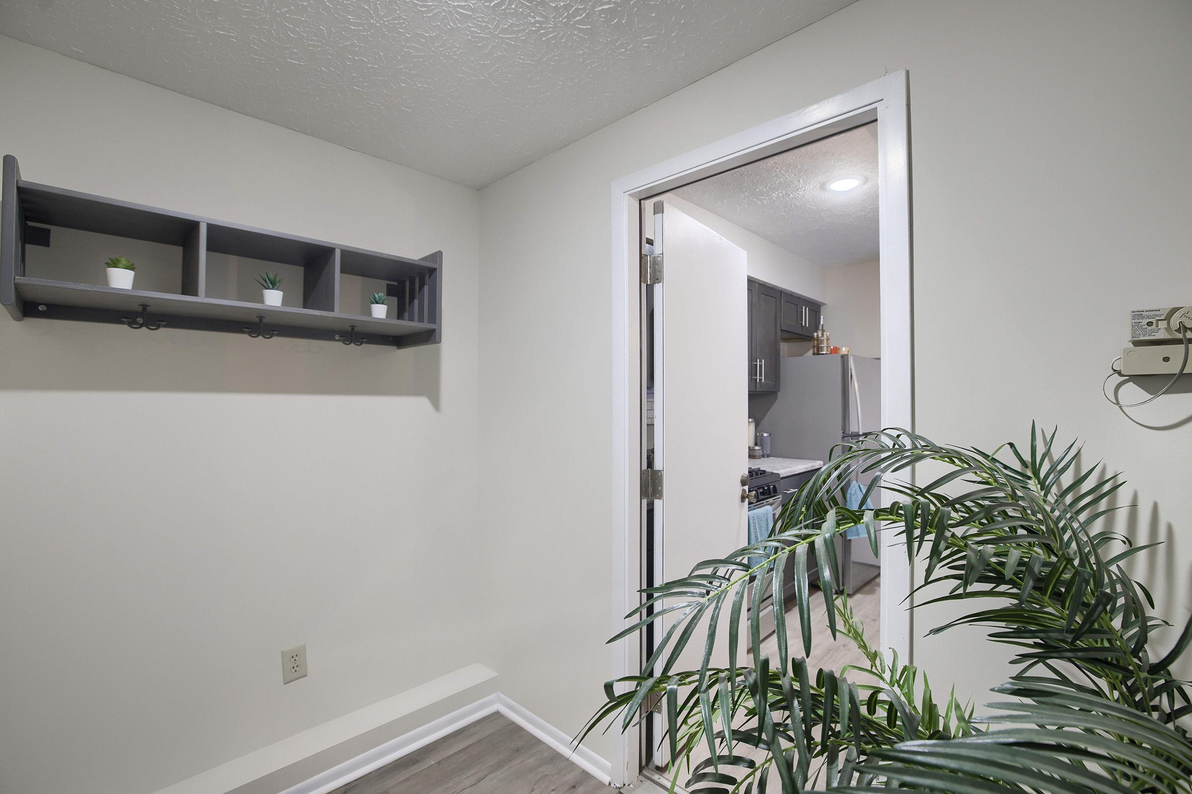 A minimalistic interior space featuring a light-colored wall, a small shelf with potted plants, a doorway leading to a kitchen area with dark cabinets, and a decorative green plant in the foreground. The flooring is a light wood laminate, adding warmth to the room.
