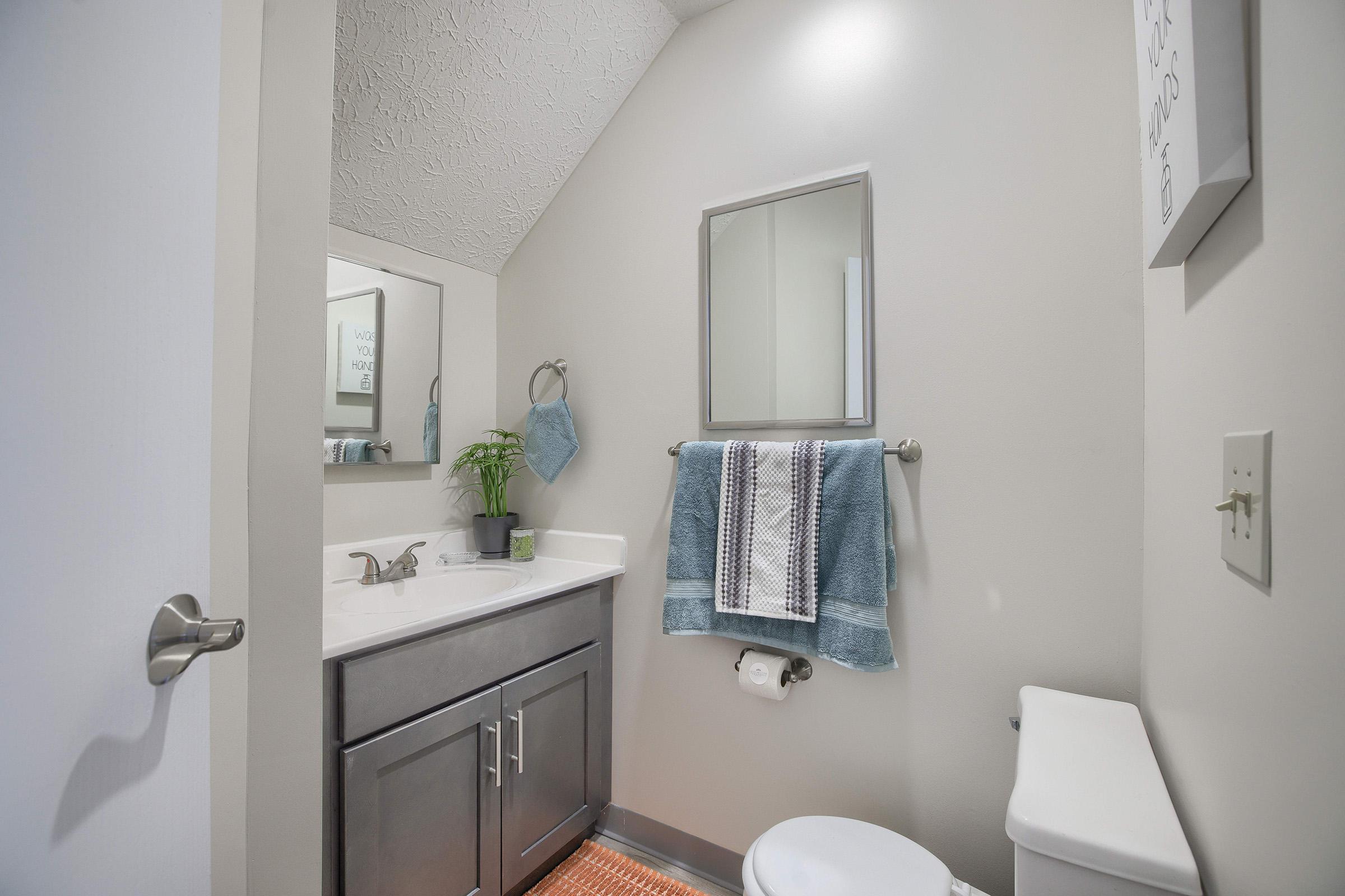 A small bathroom featuring a white sink with a mirror above, a hand towel hanging on a silver rack, and a potted plant on the countertop. The walls are painted a light color, and there's a white toilet next to the sink. A textured rug is on the floor, adding a cozy touch to the space.