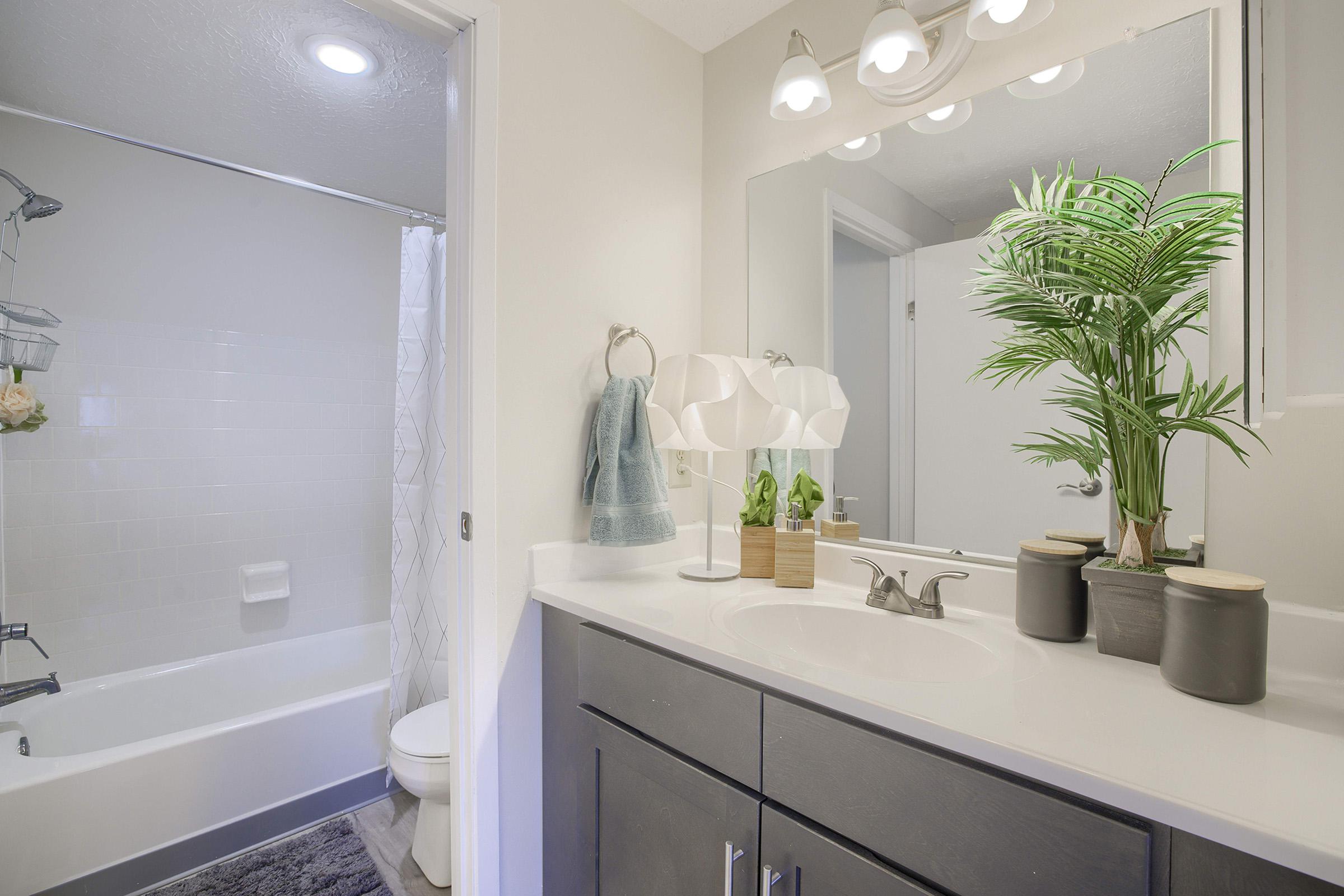 A modern bathroom featuring a bathtub with a shower, a white countertop with decorative plants, and a large mirror. The cabinetry is dark-colored, and there are towels hanging on a hook. The space is well-lit with overhead lighting and a clean, minimalist design.
