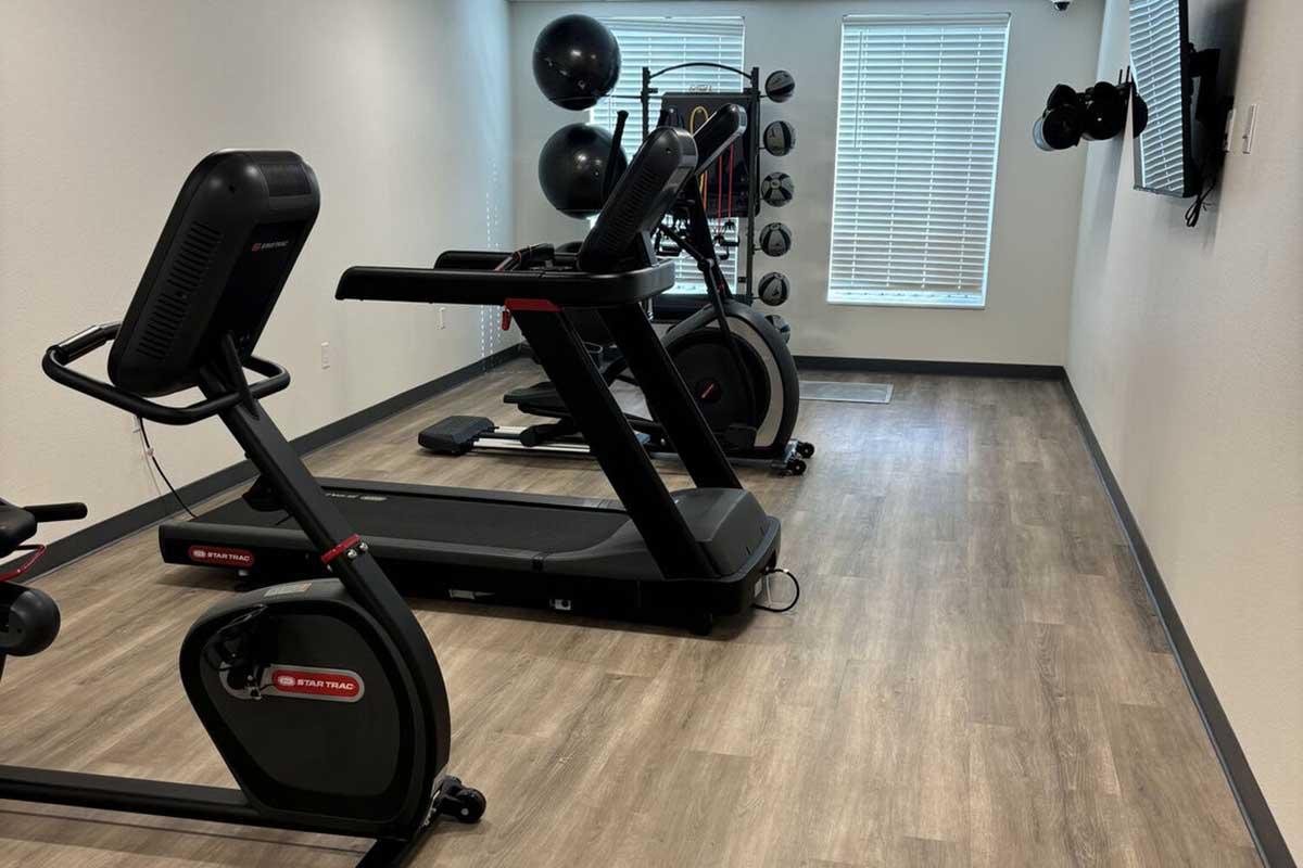 A modern fitness room featuring a treadmill, an elliptical machine, and exercise balls mounted on the wall. The room has wooden flooring, natural light coming through windows, and a clean, minimalist design, making it an inviting space for workouts.