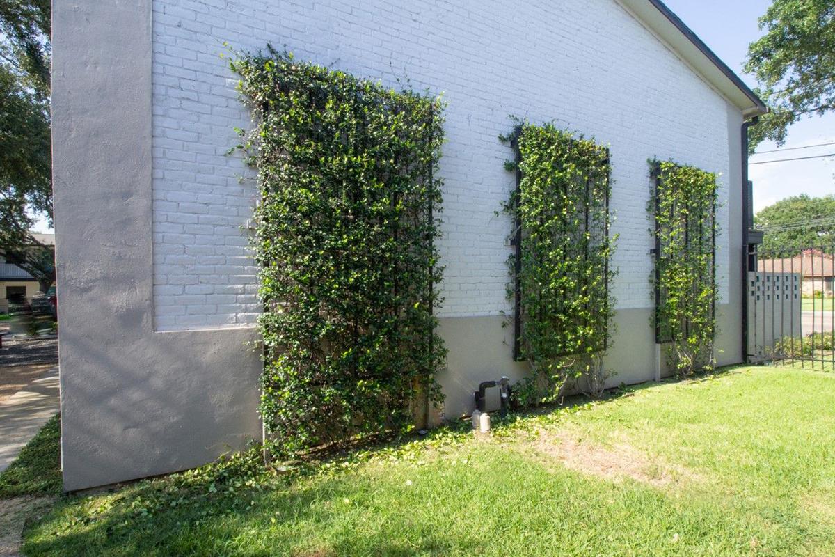 A white brick wall with three vertical green trellises covered in climbing plants. The area surrounding the wall features a well-maintained grassy patch. A fence can be seen in the background, indicating a residential setting. Sunlight casts soft shadows on the wall.
