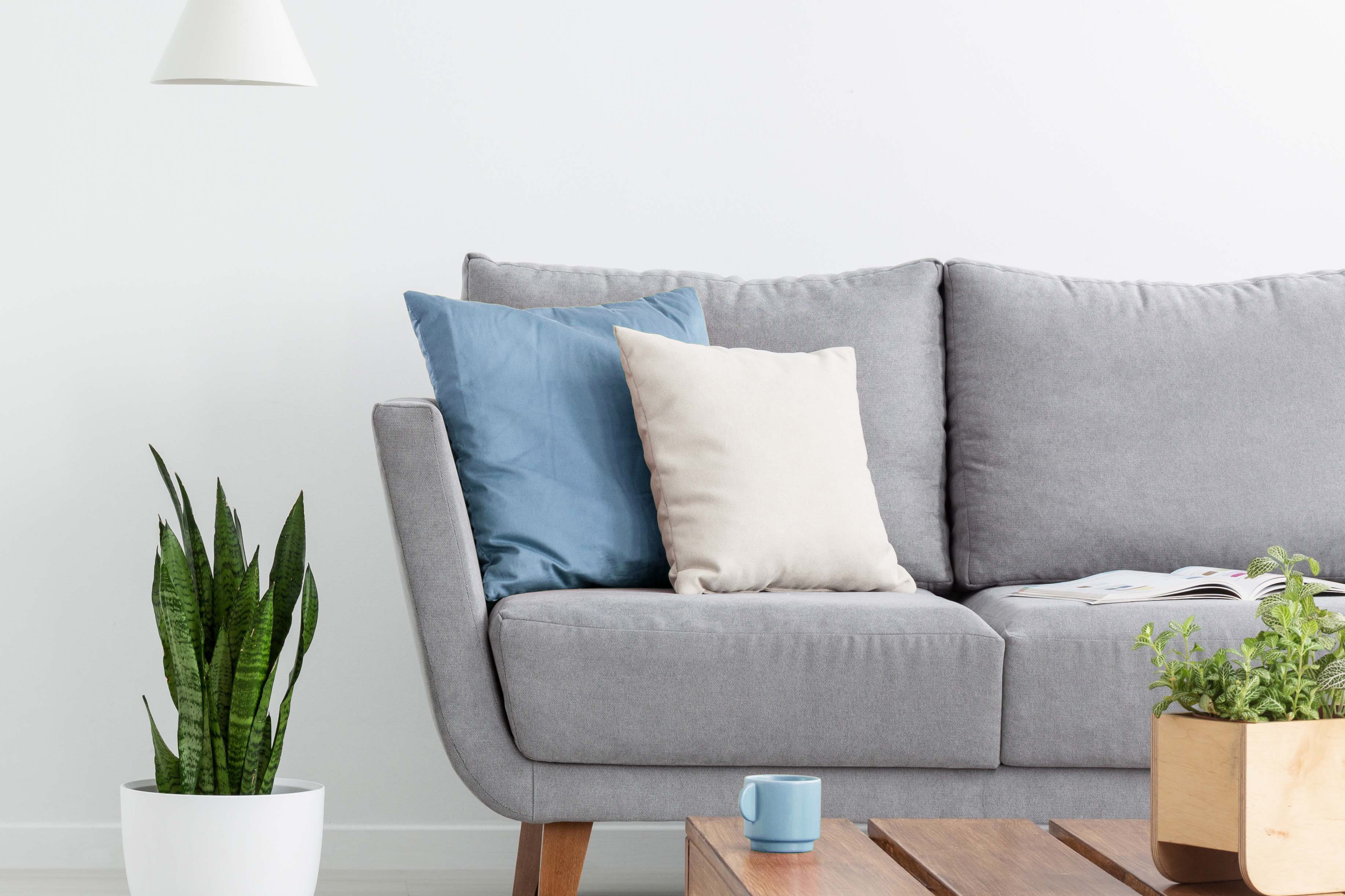 Apartment Features
