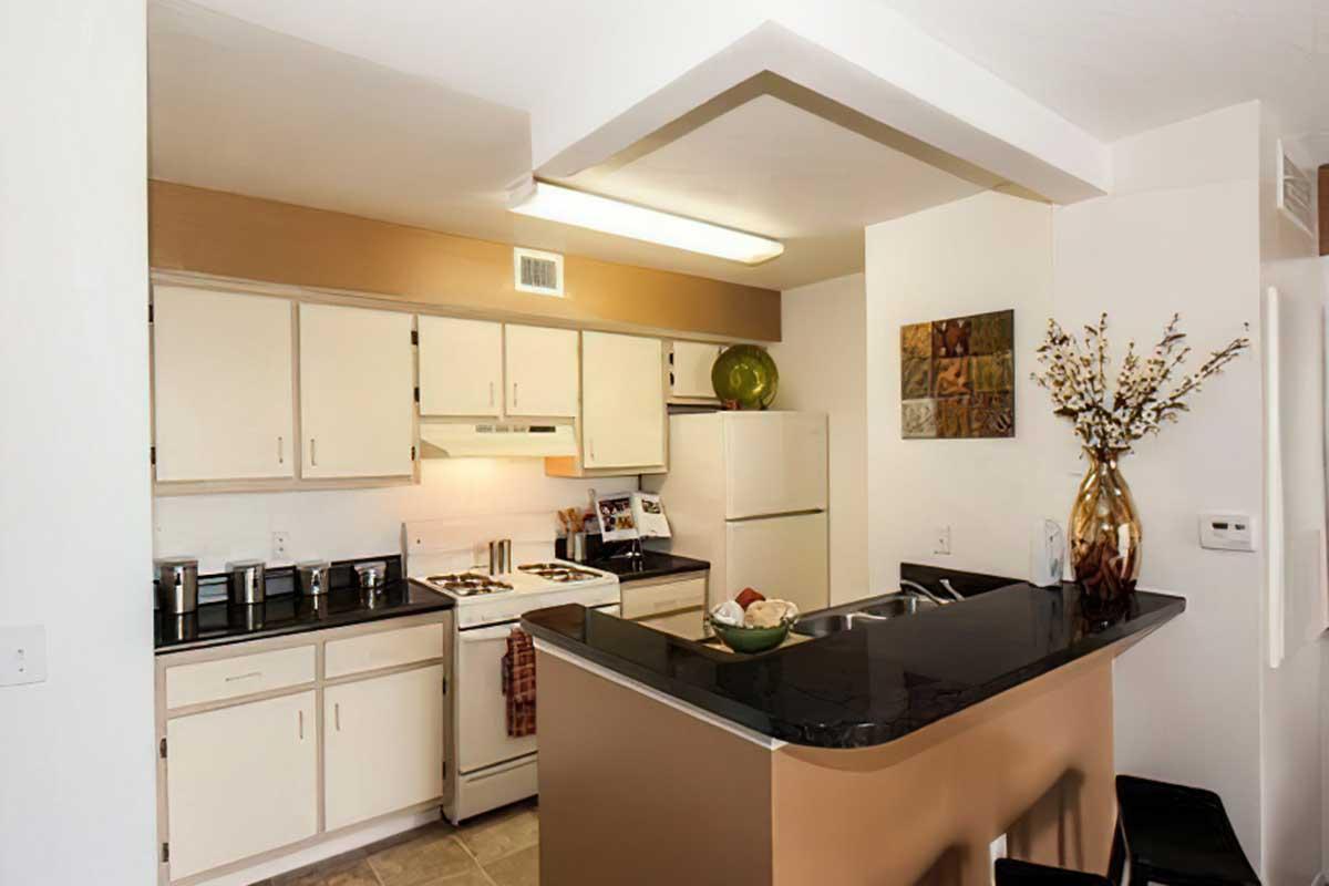 Modern kitchen featuring white cabinets, a black countertop with a small breakfast bar, stainless steel appliances, and a warm color accent wall.